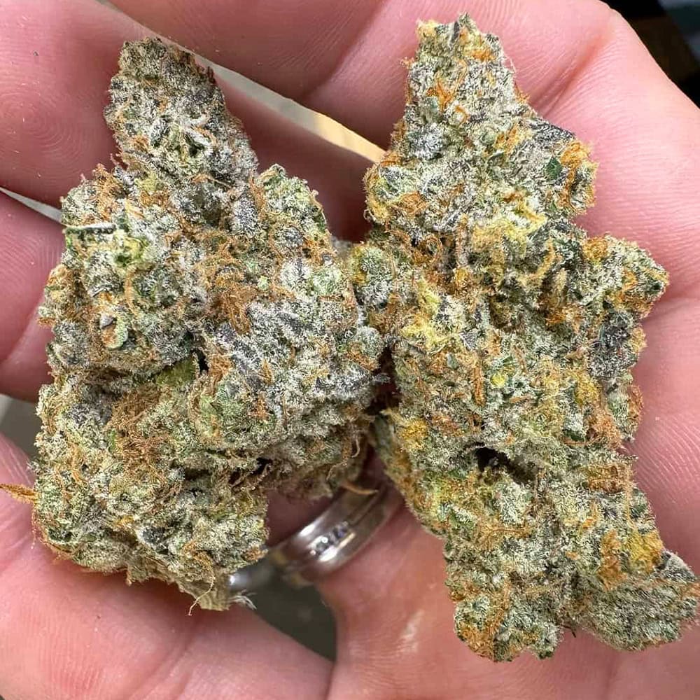 Cap Junky THCA Flower Bulk