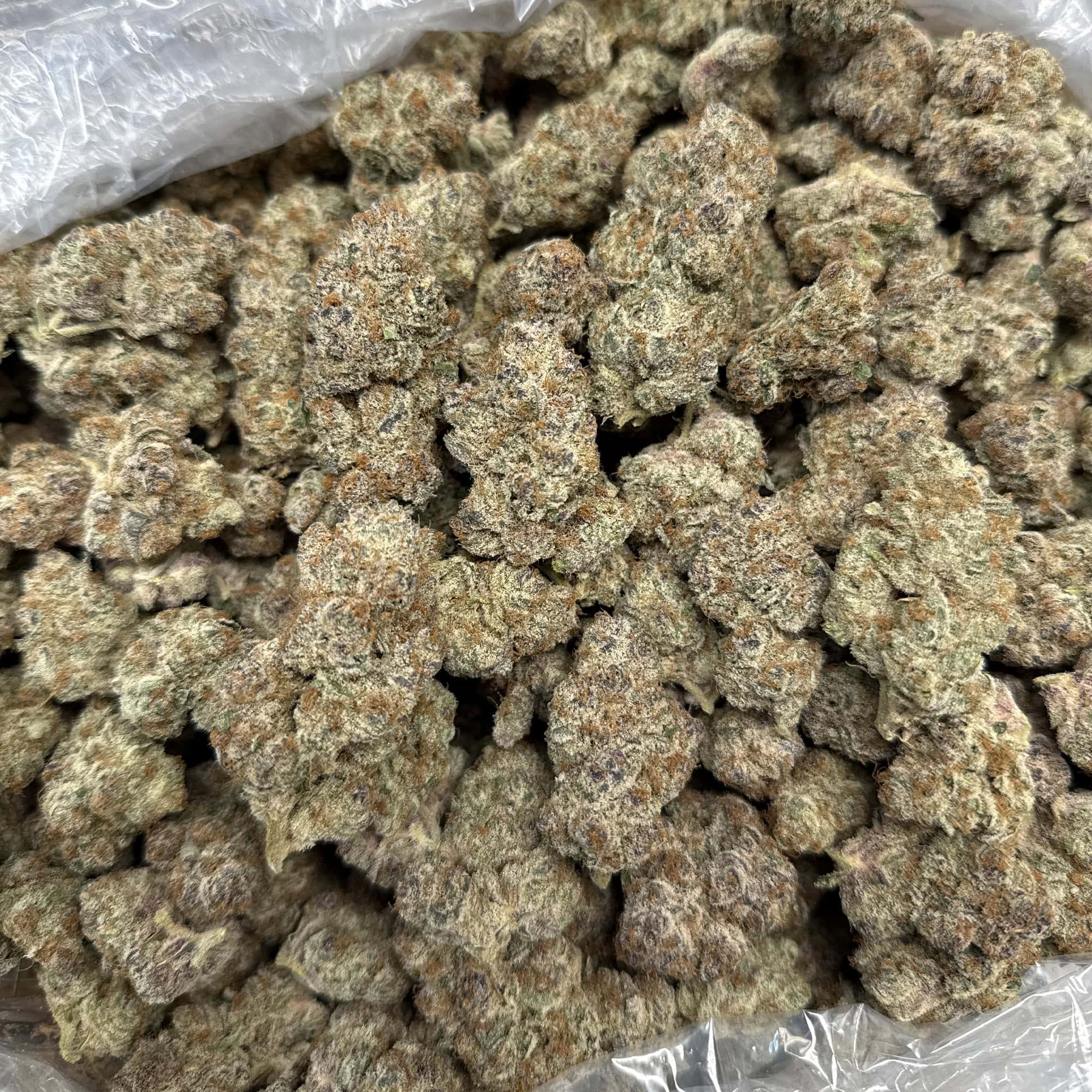 Black Ice THCA Flower for Sale