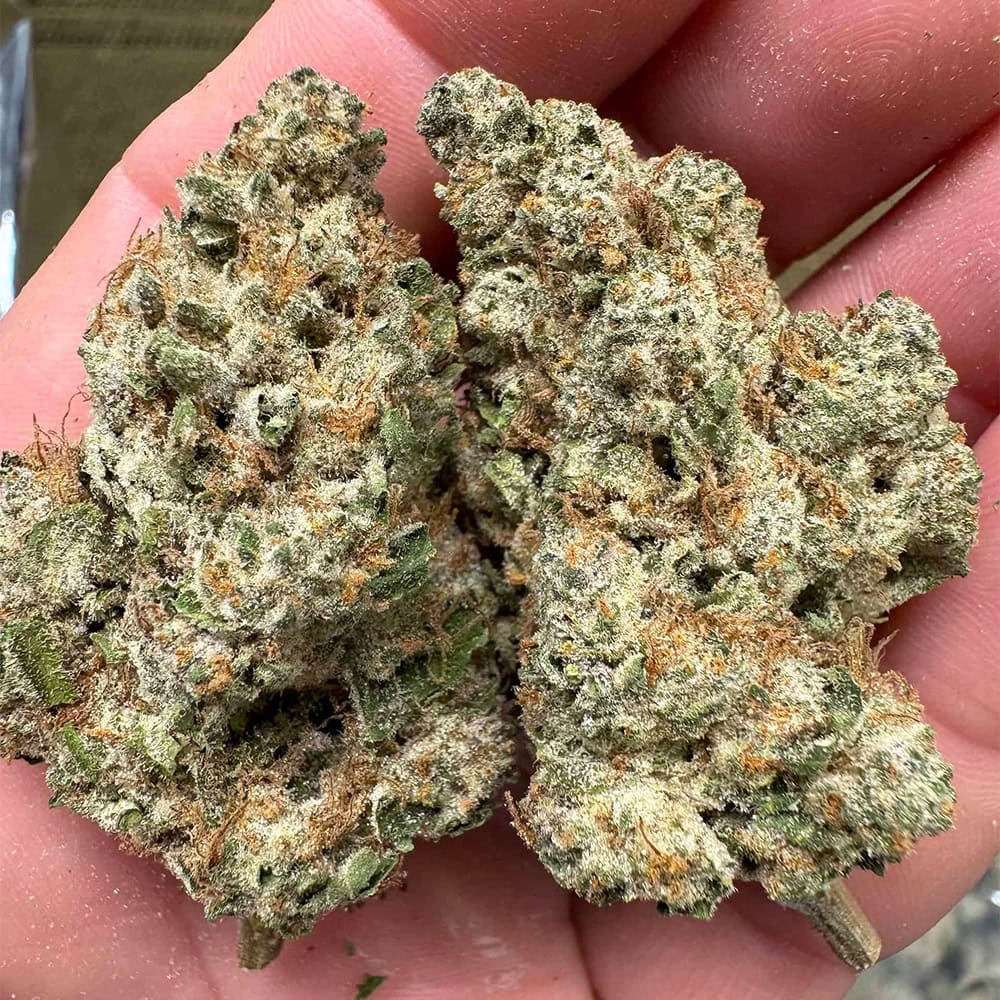 Chemdawg OG THCA Buds