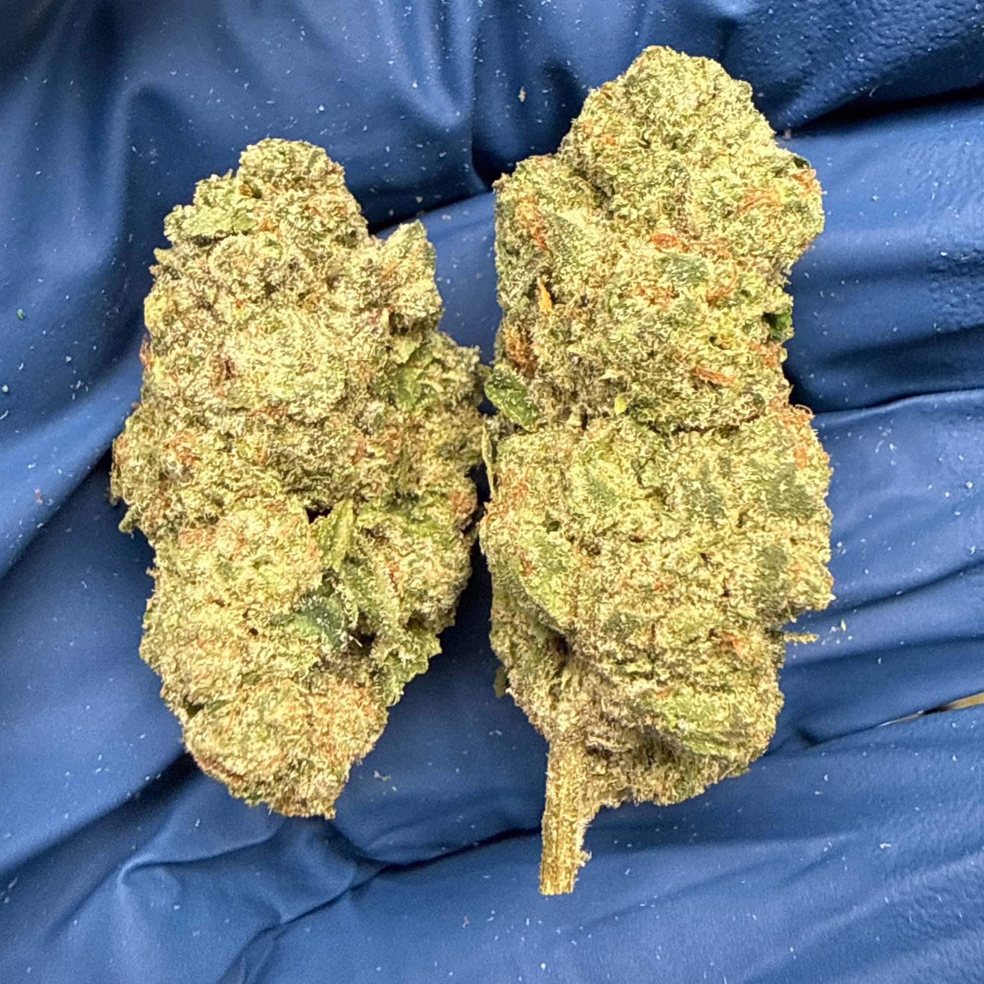 Donny Burger THCA Flower for Sale