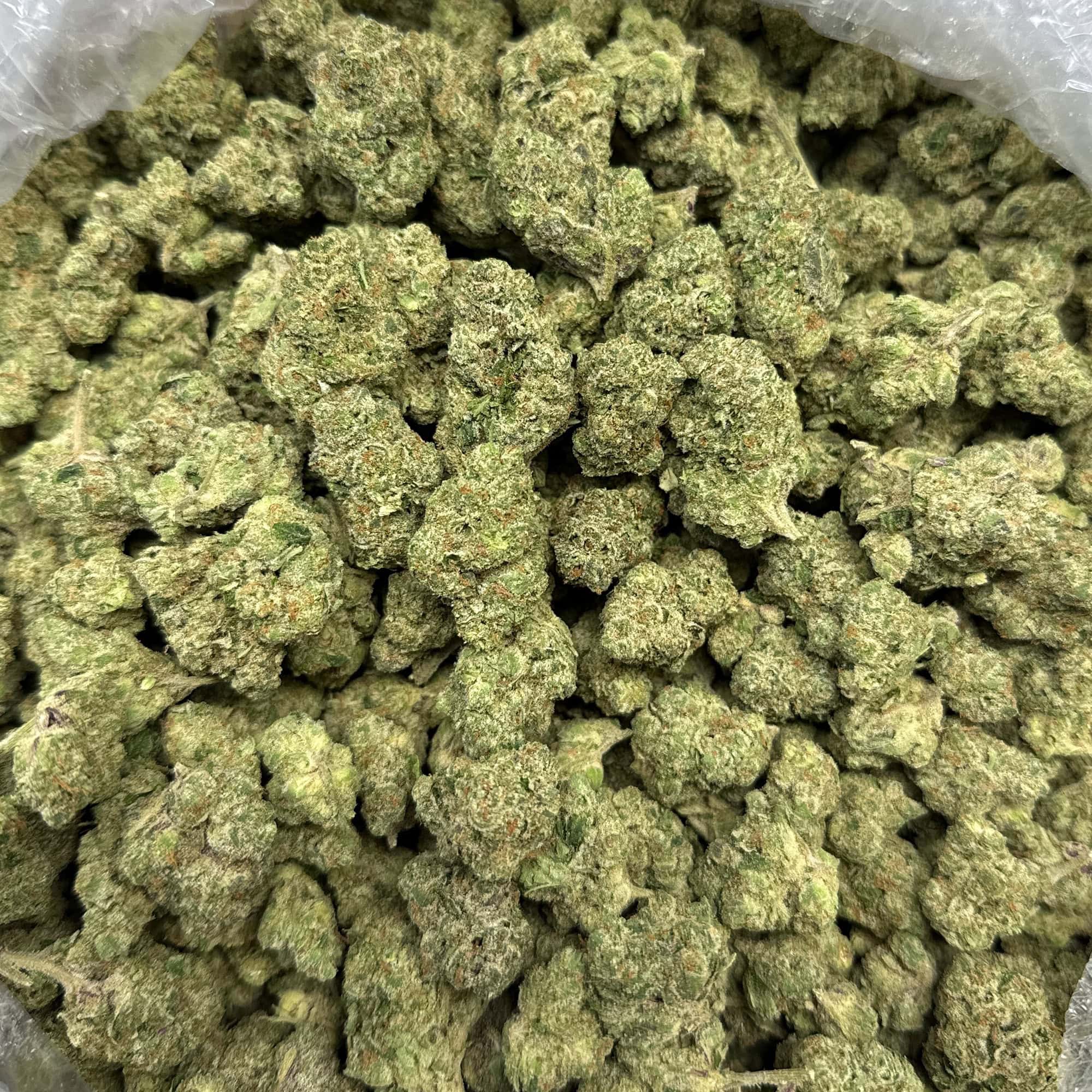 Donny Burger Cheap THCA Flower Pounds