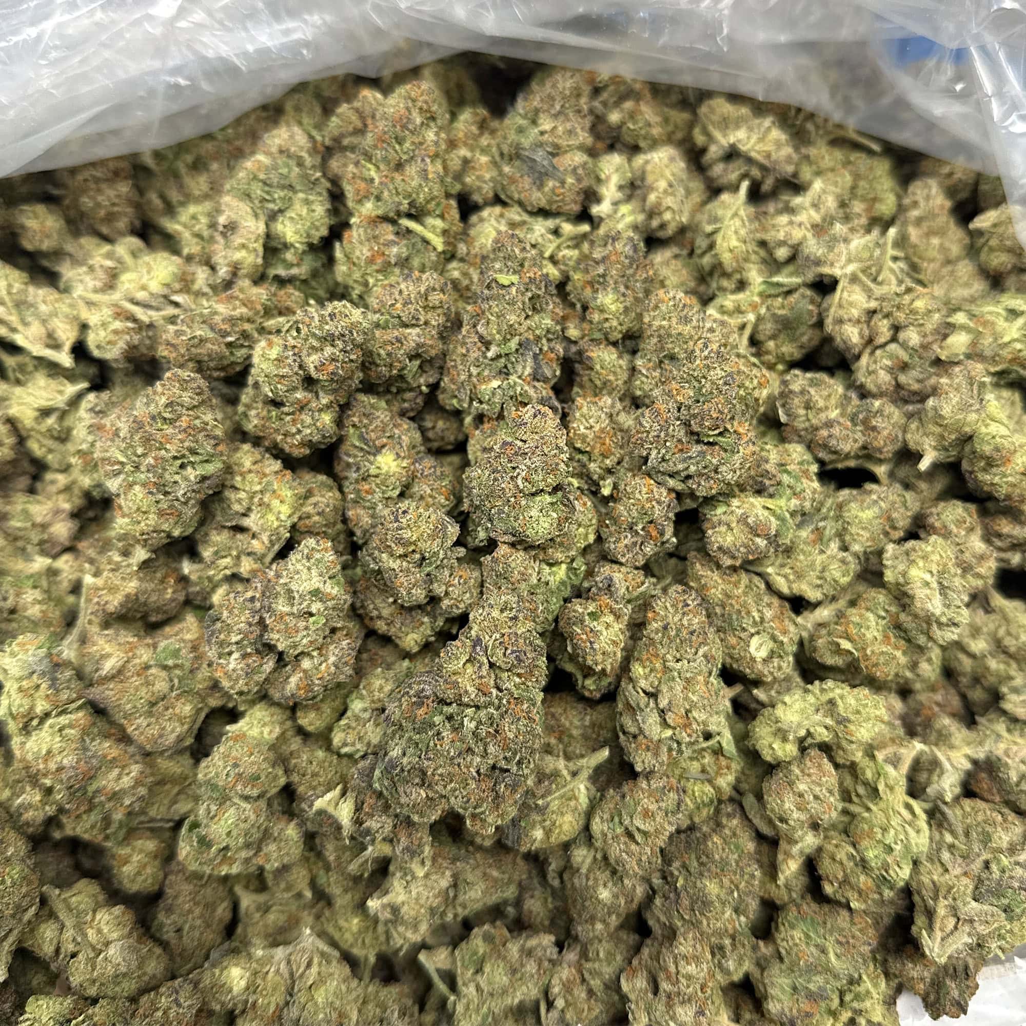Jealousy THCA Flower Pounds for Cheap