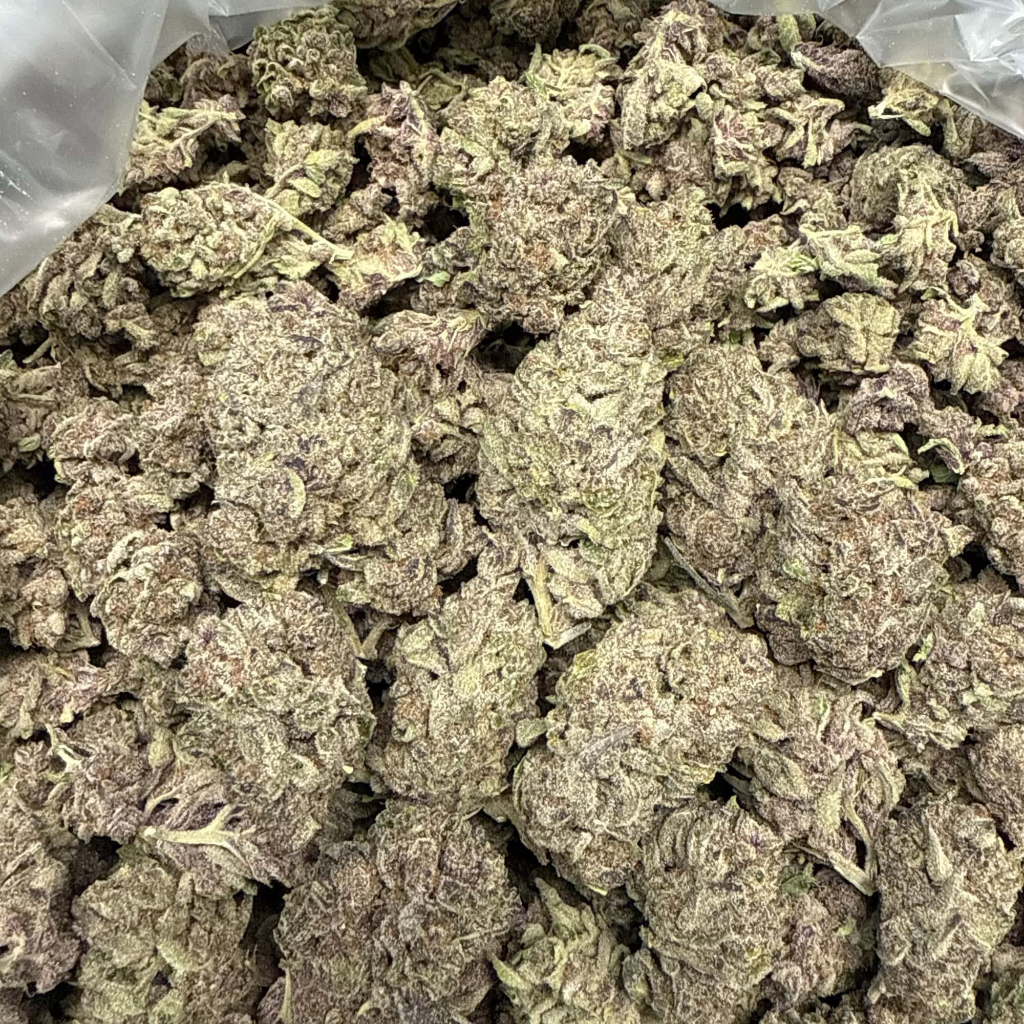 No Drama Llama THCA Flower for Sale