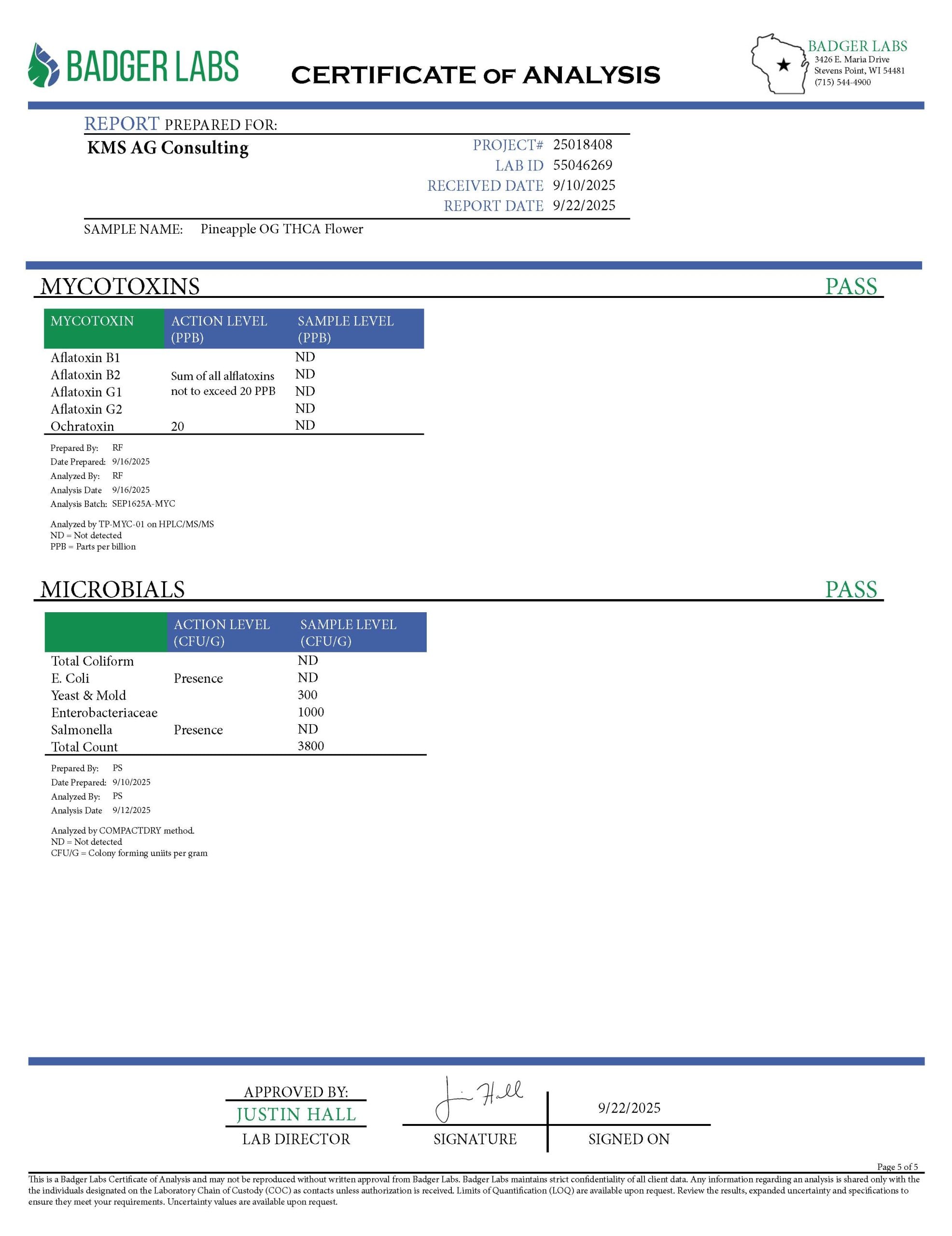 Pineapple OG Lab Test 2