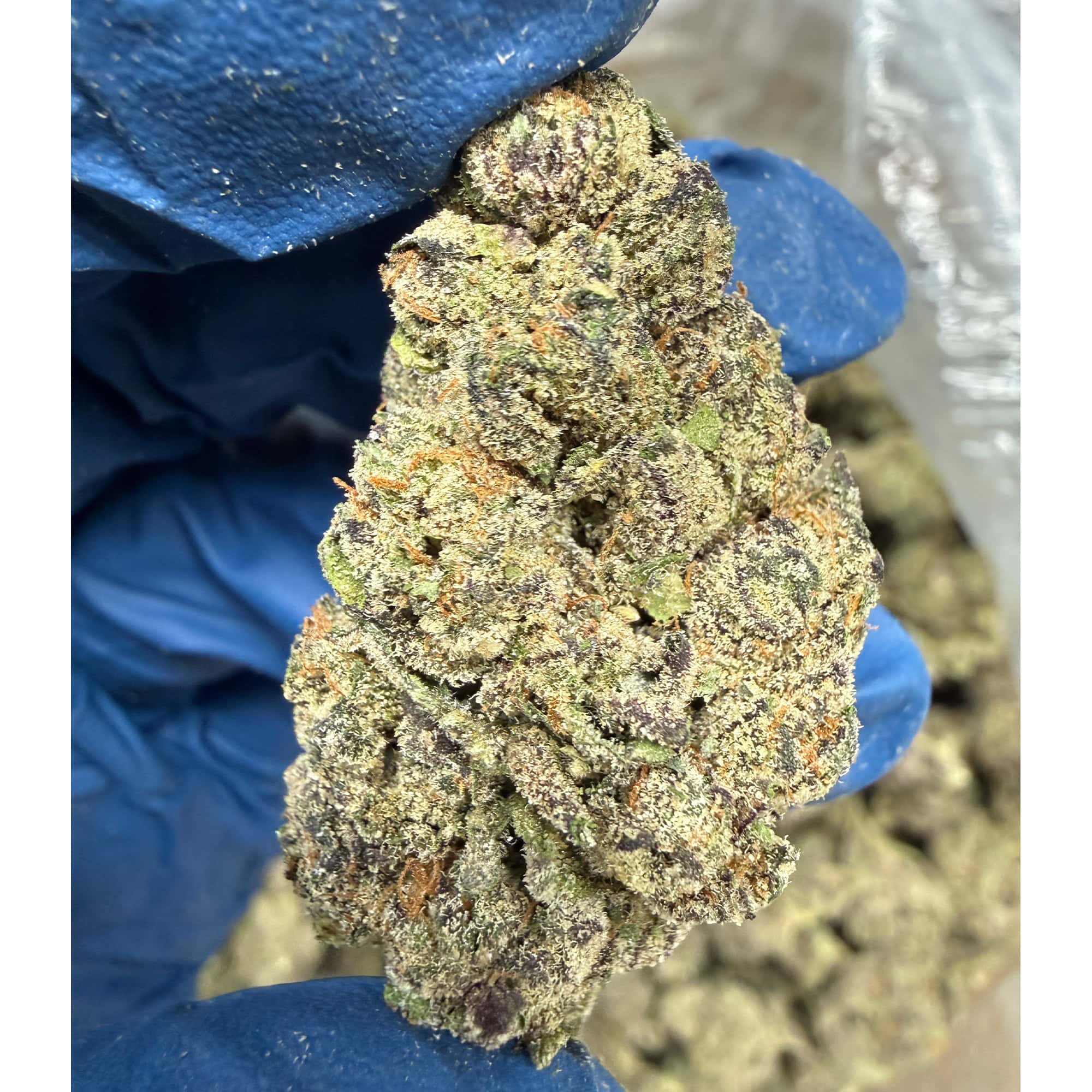 Sherbet THCA Flower Pounds