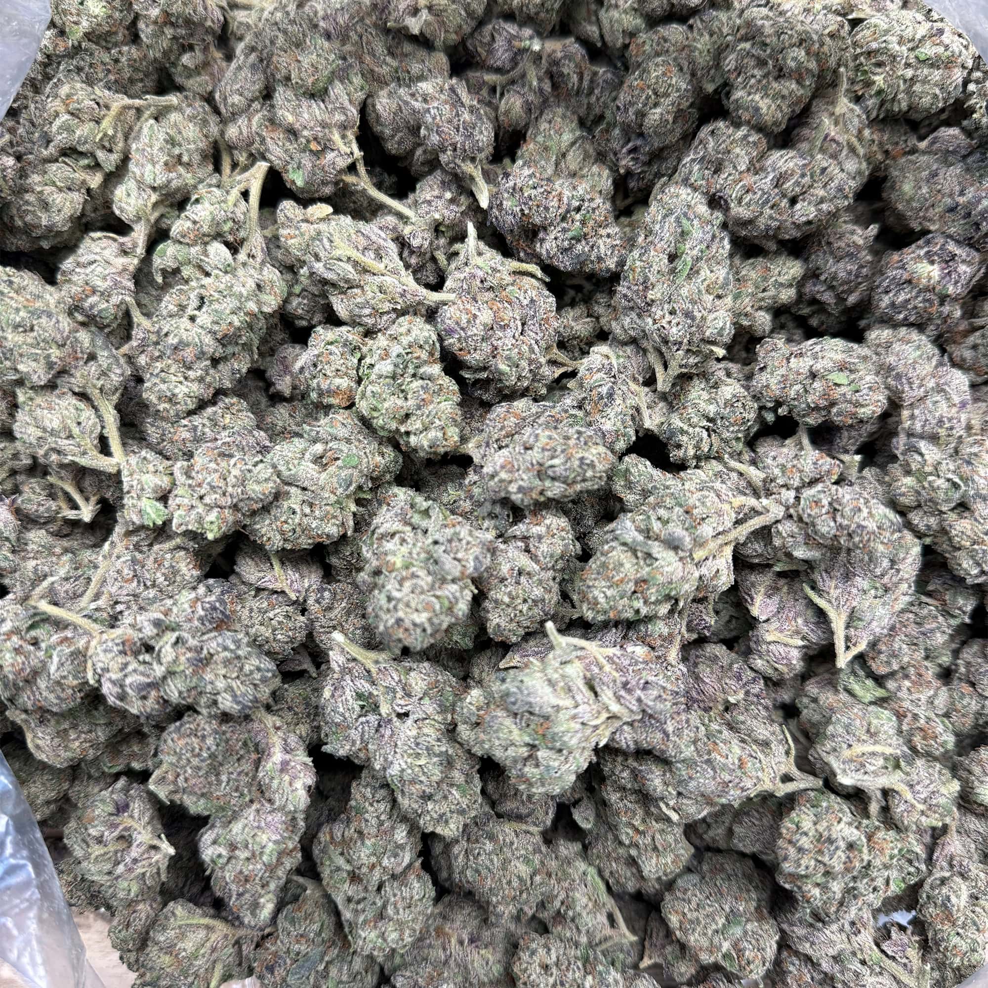 Sherbet THCA Flower Bulk Pounds
