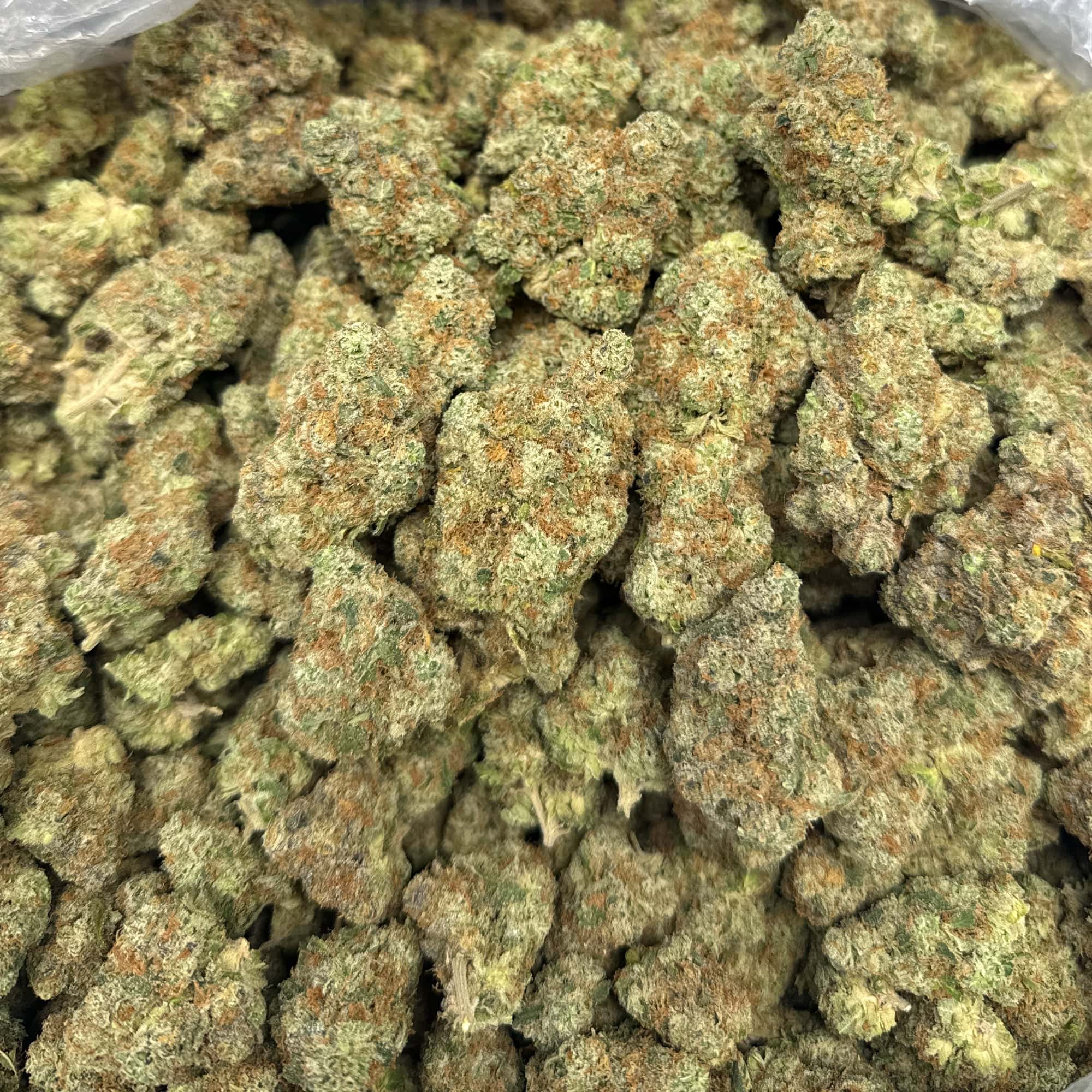 Sour Diesel THCA Flower for Sale