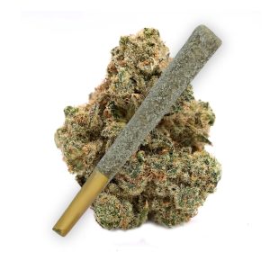 White Runtz Diamond THCA Prerolls