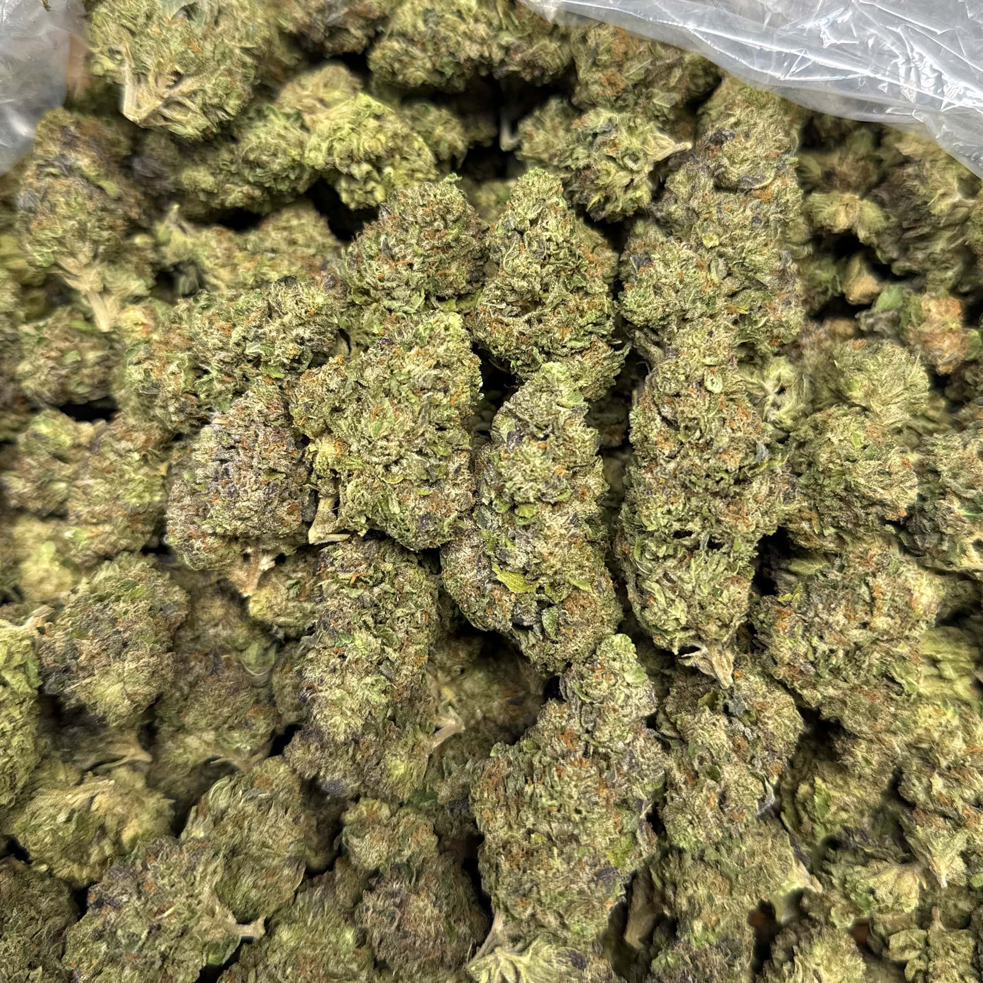 Girl Scout Cookies Cheap THCA Flower Pounds