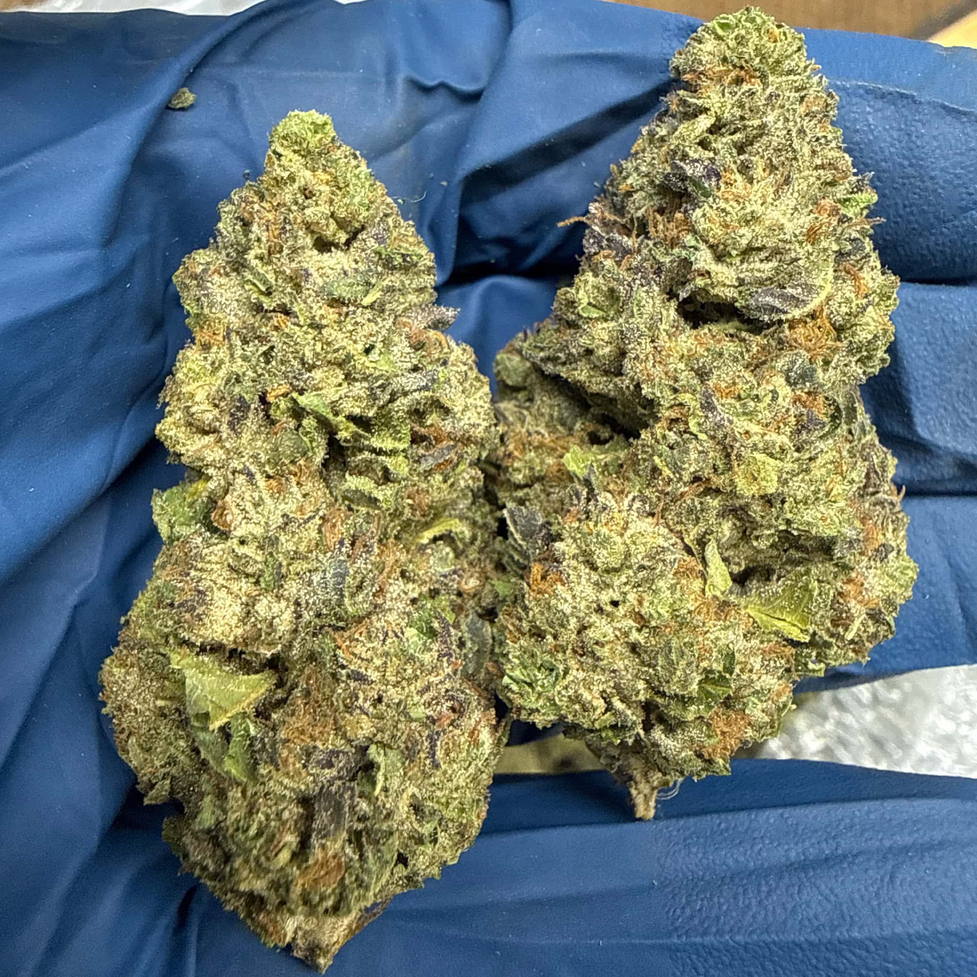 Girl Scout Cookies THCA Flower for Sale
