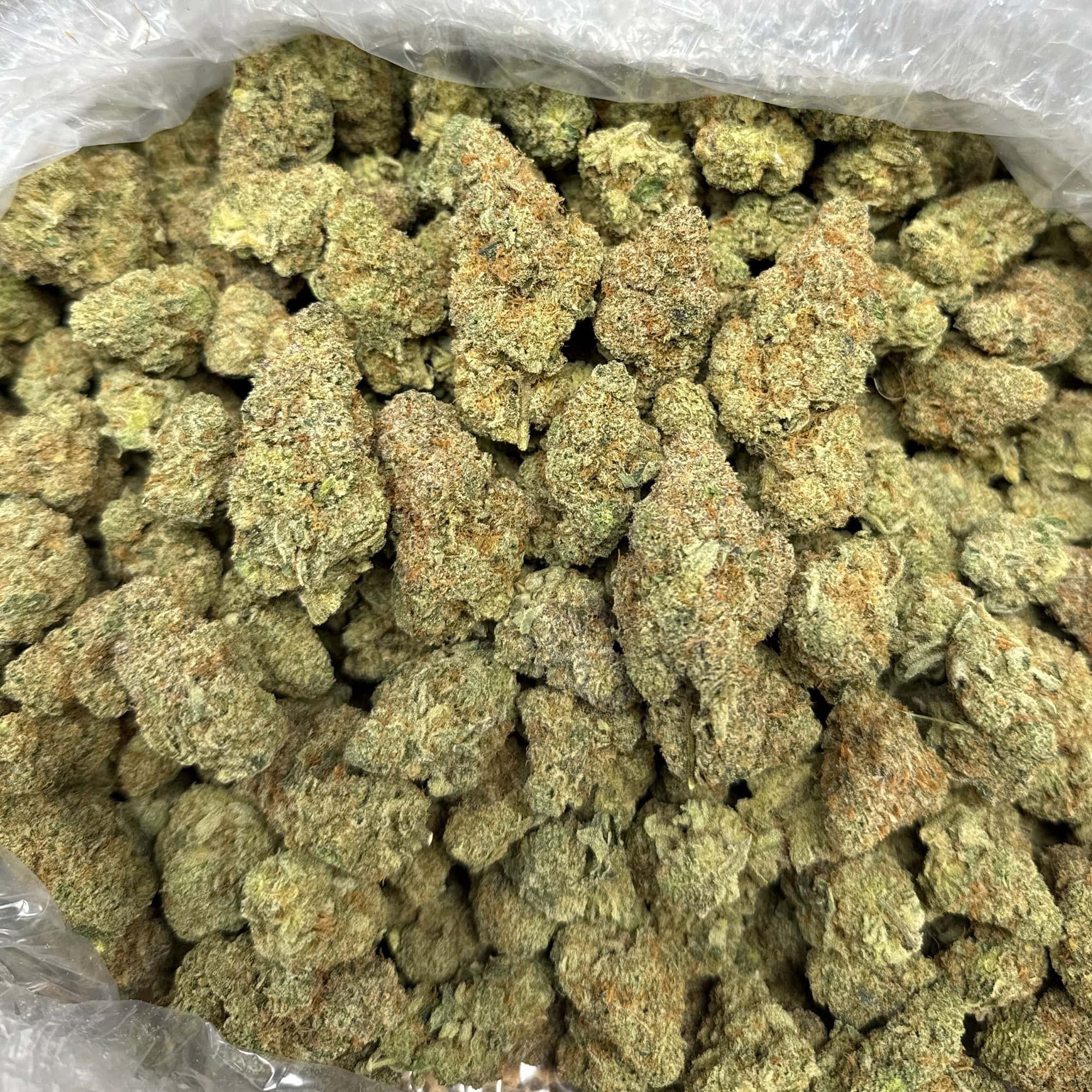 Pineapple Express THCA Flower Quarter Pounds