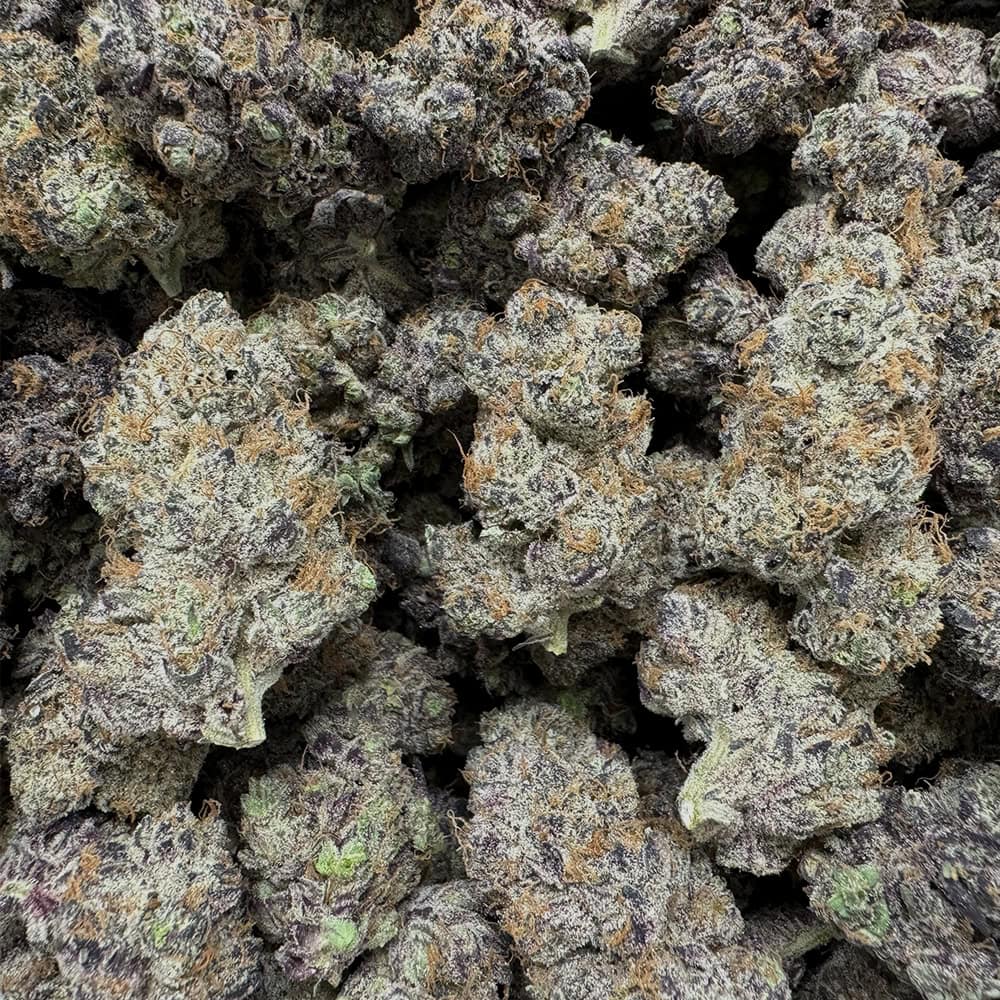 Purple Voodoo THCA Pounds of Flower