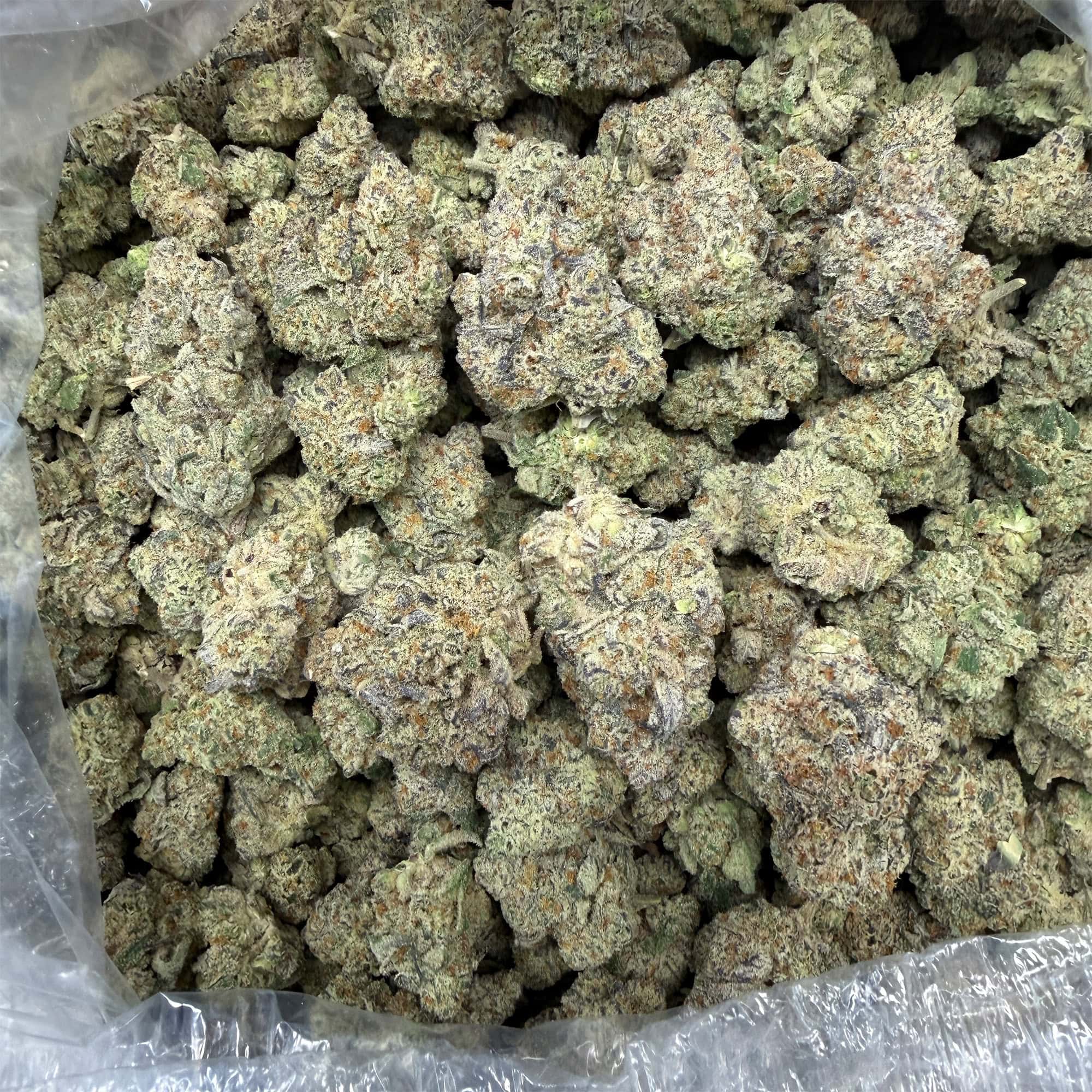 Blueberry THCA Flower for Sale