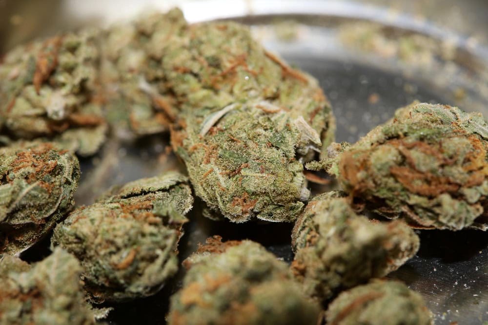 Decarbing THCA Flower in Oven