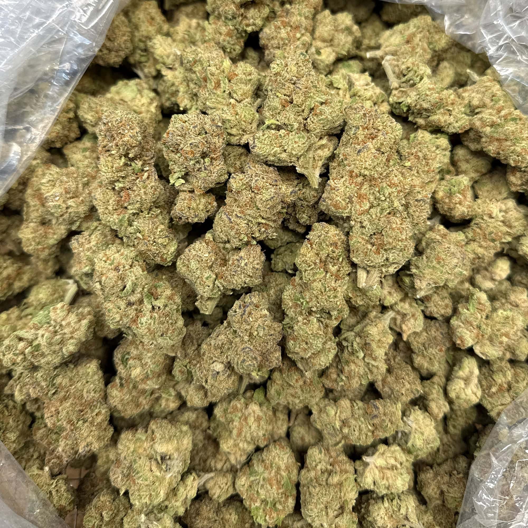Glitter Bomb Cheap THCA Flower