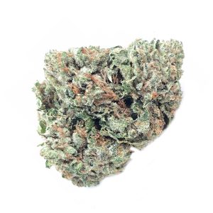 Purple Punch THCA Flower