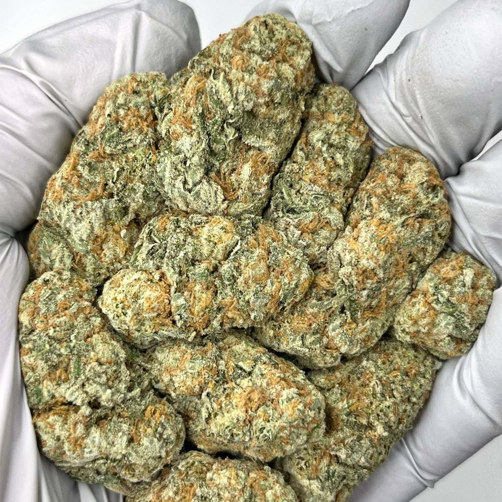 Purple Punch THCA Flower Bulk Pounds