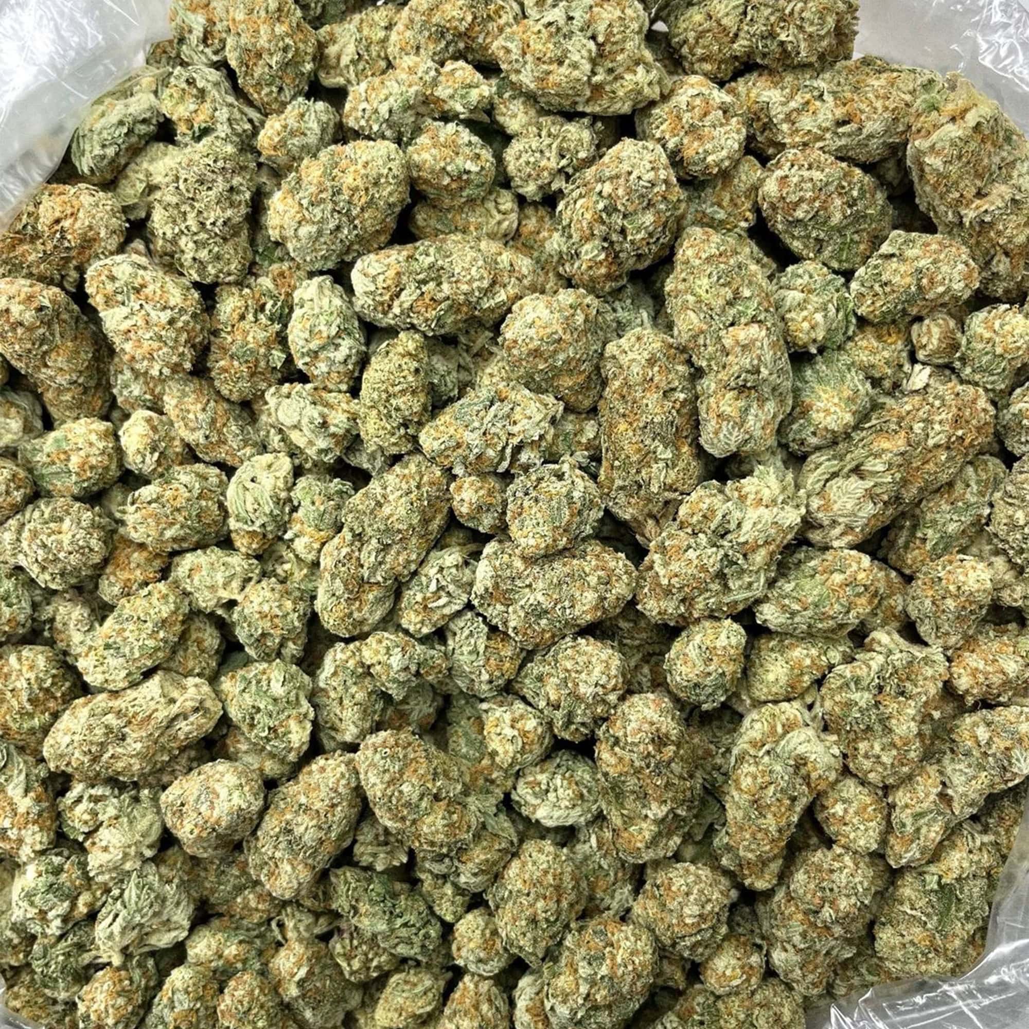 Purple Punch Wholesale THCA Flower