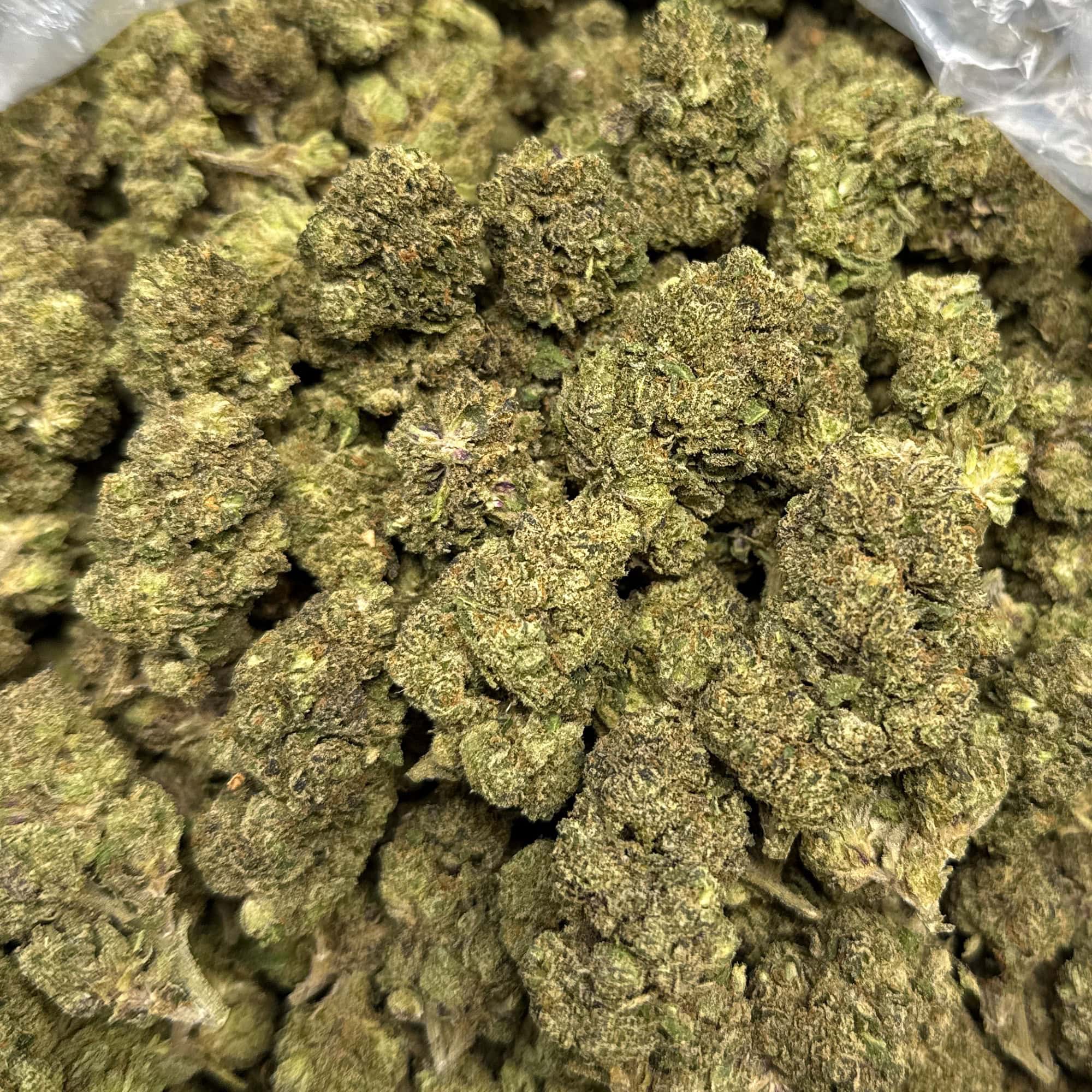 Gelato Punch Cheap THCA Flower Pounds