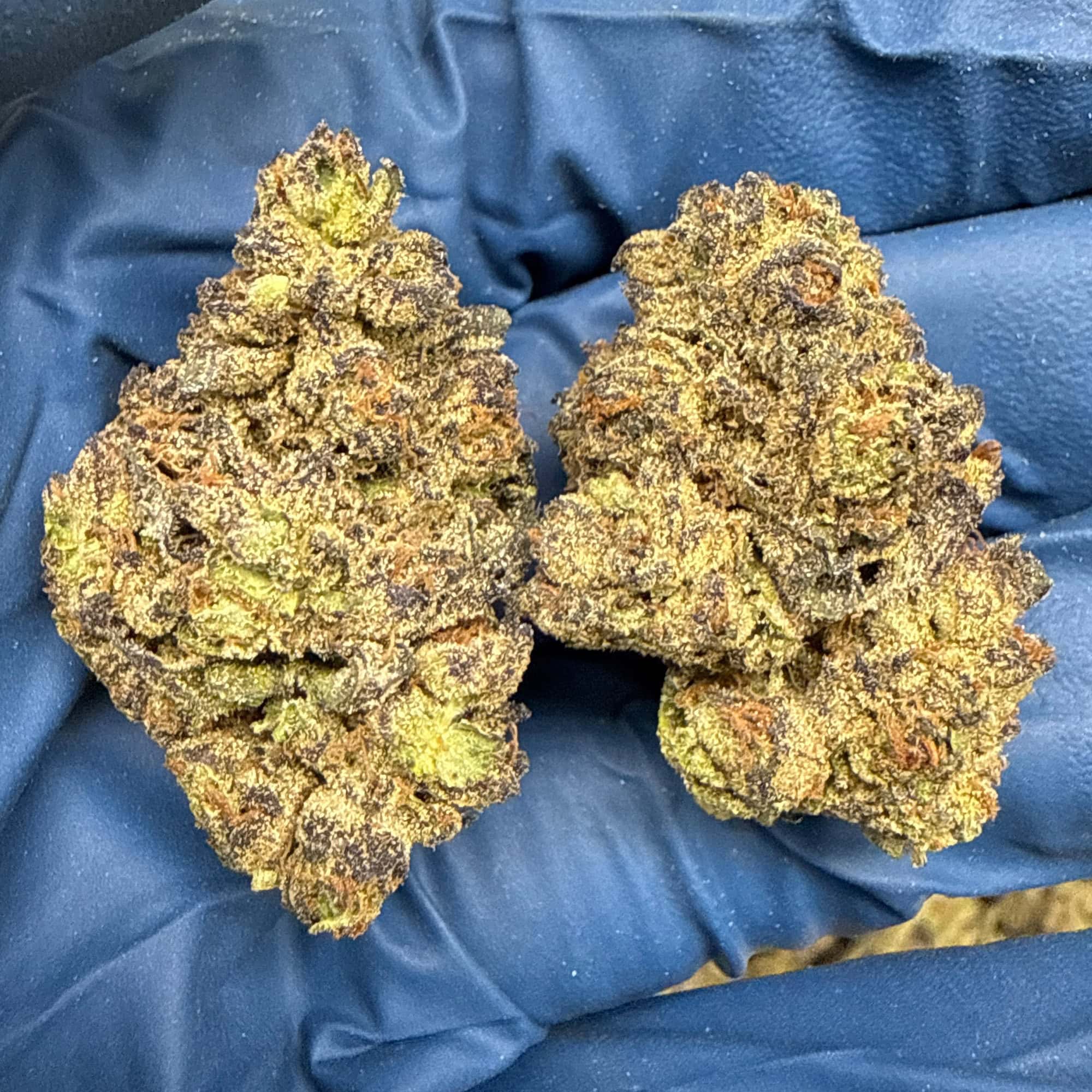 Ice Cream Cake THCA Flower for Sale