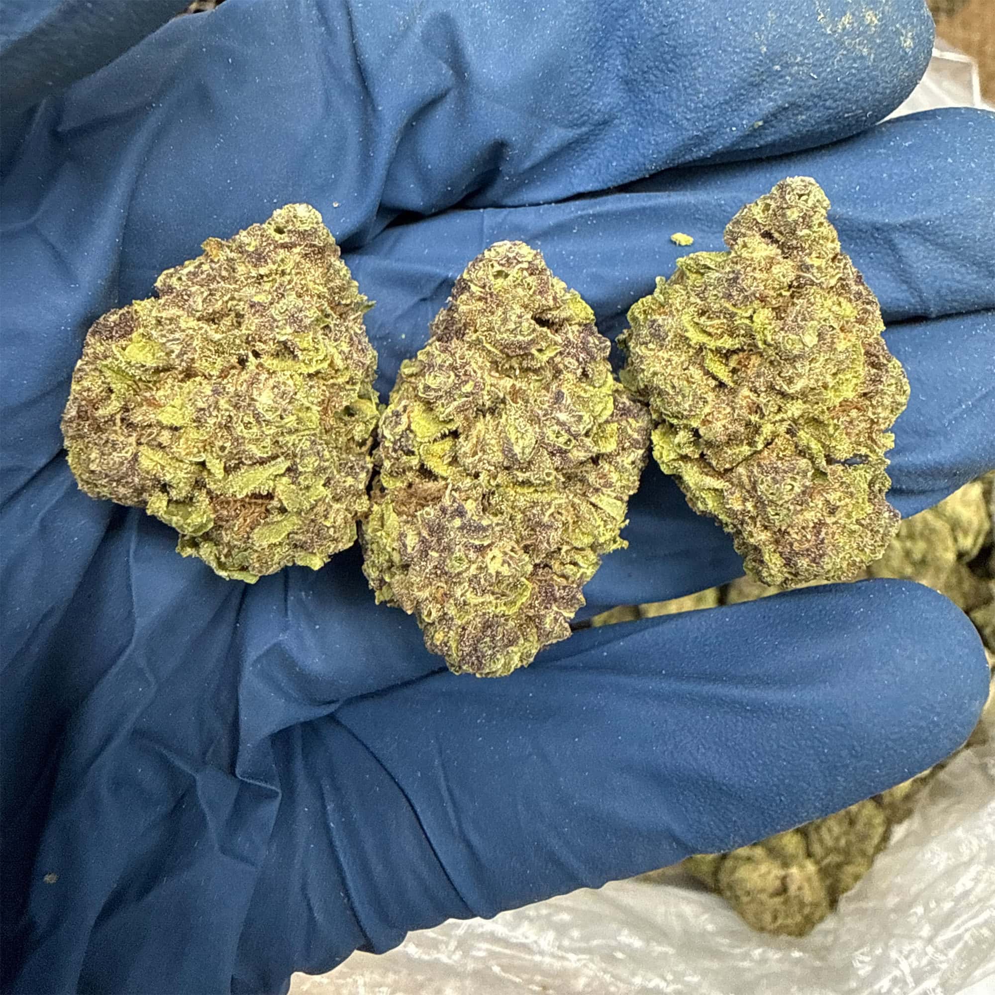 Trop Cherry THCA Flower for Sale