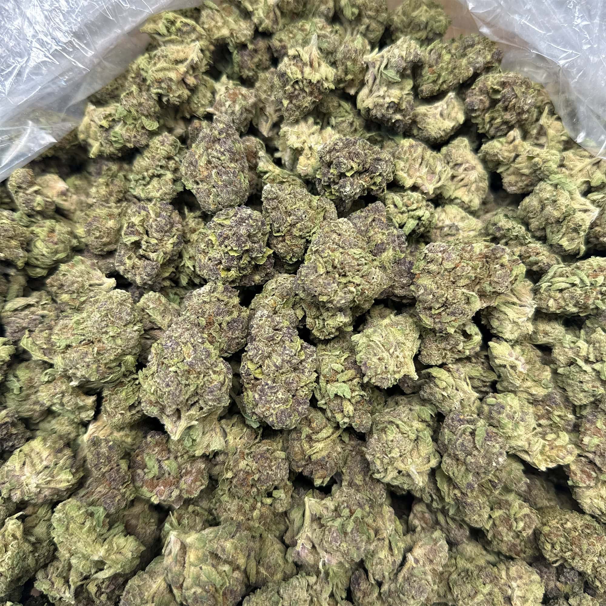 Trop Cherry Sativa THCA Flower