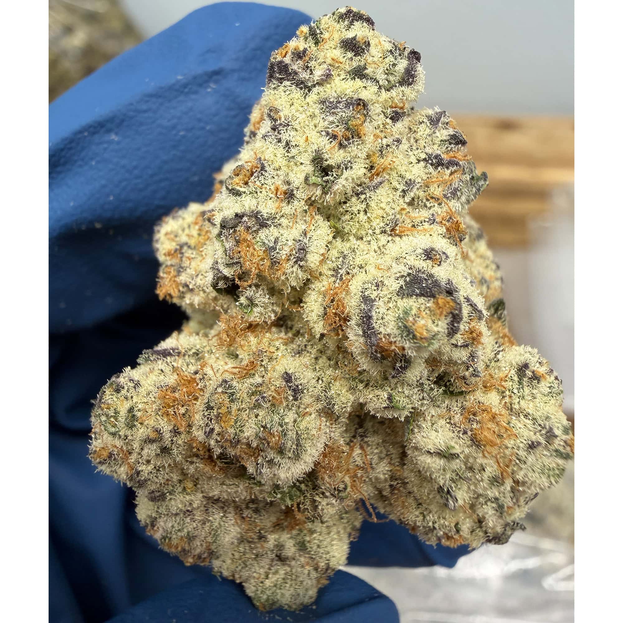 Dantes Inferno Premium THCA Flower