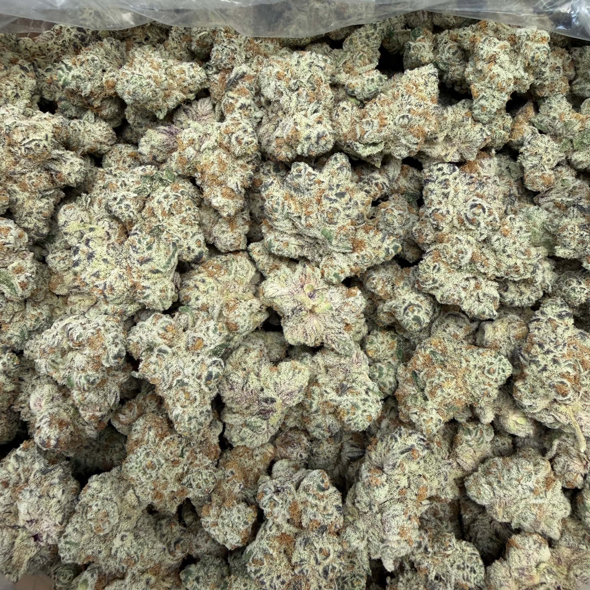 Dantes Inferno THCA Flower Ounces