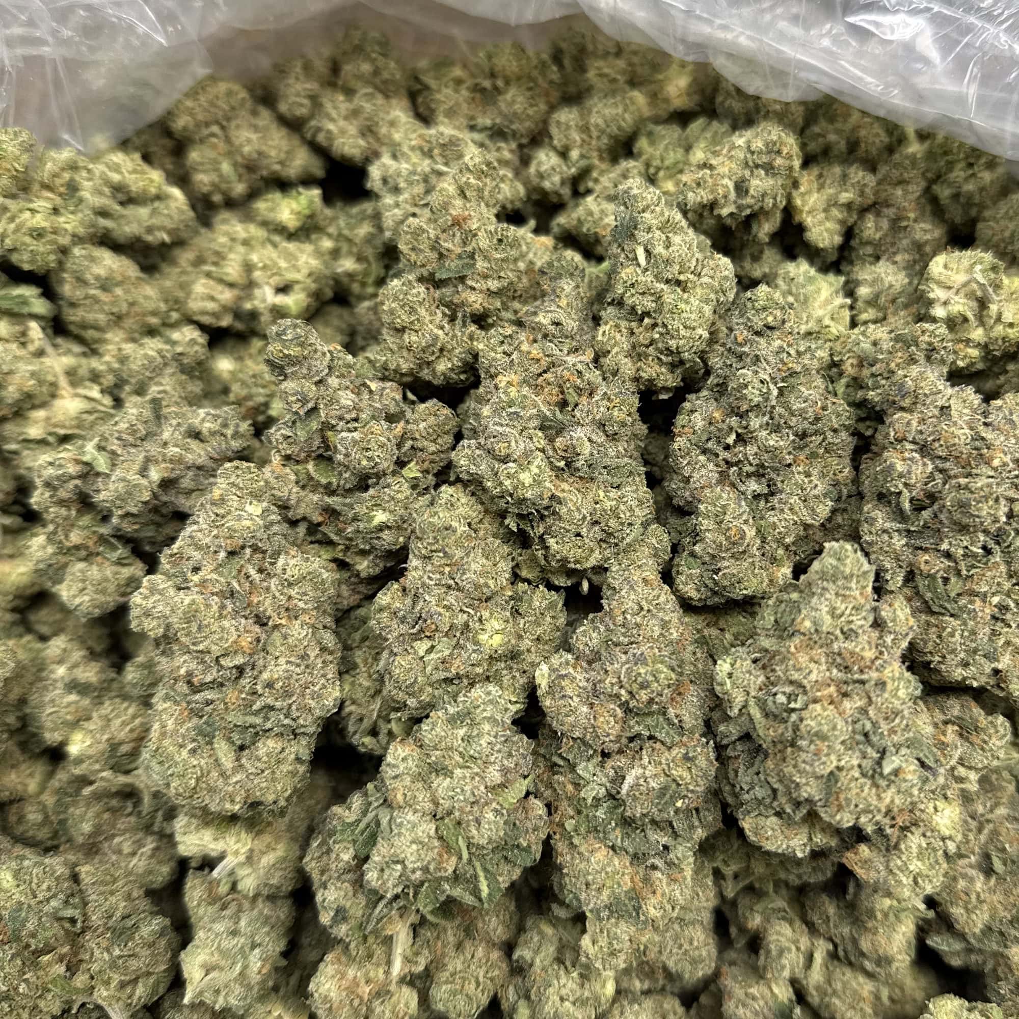 Guava Cookies THCA Flower Wholesale