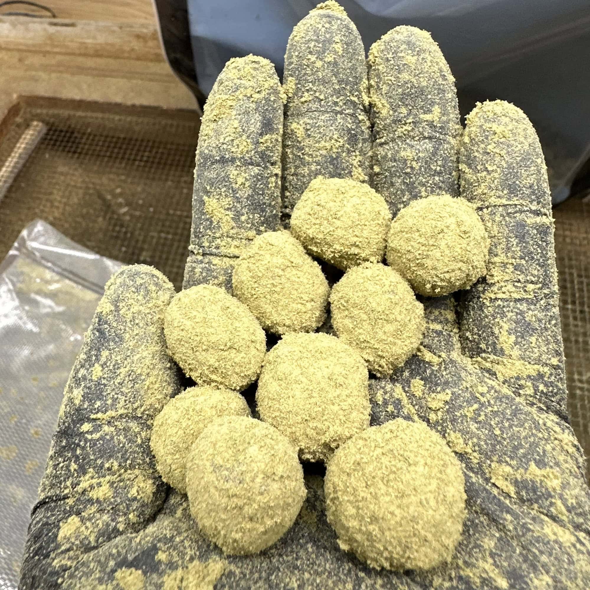 Sour Diesel THCA Moonrocks Bulk Wholesale