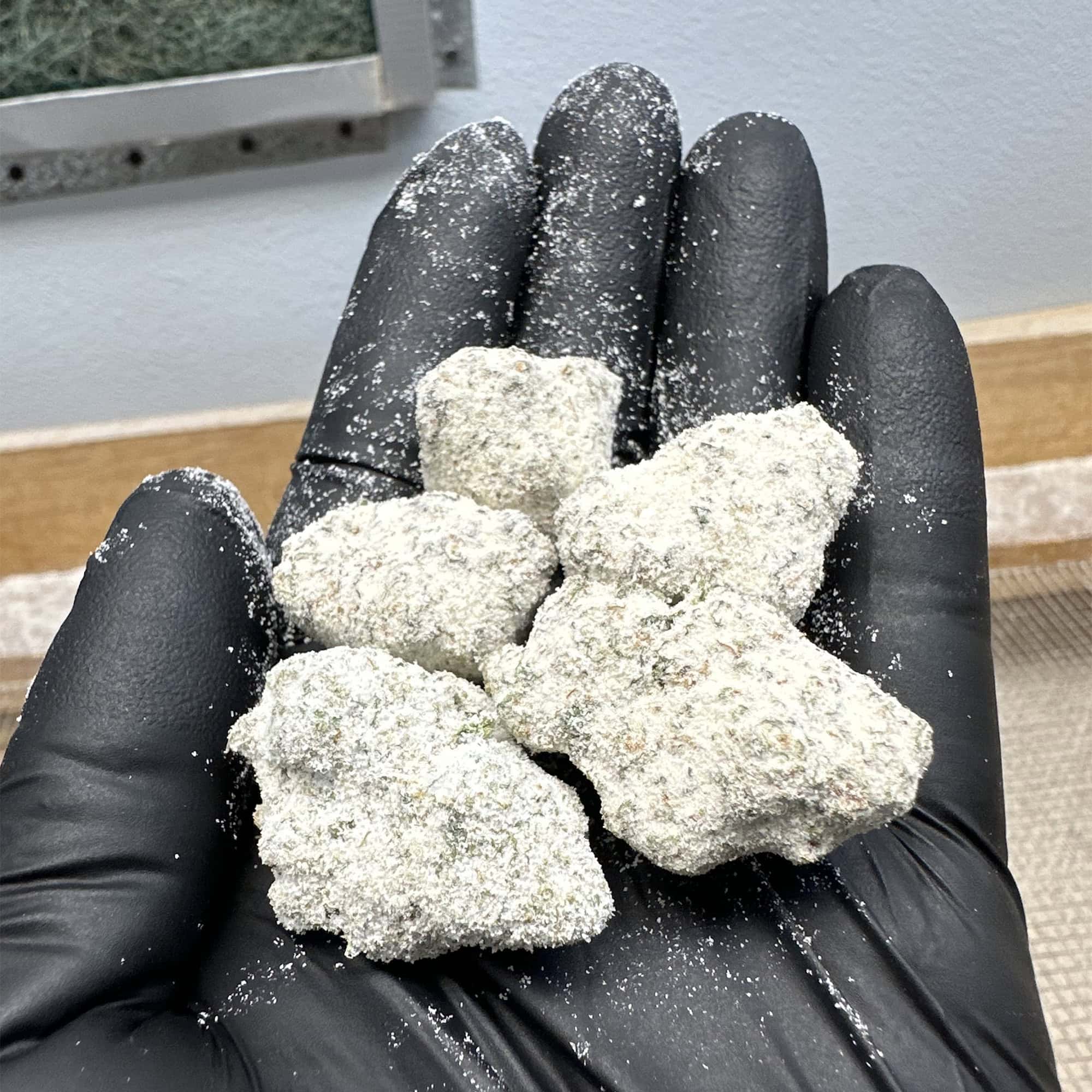 Trop Cherry Snowcap THCA Buds