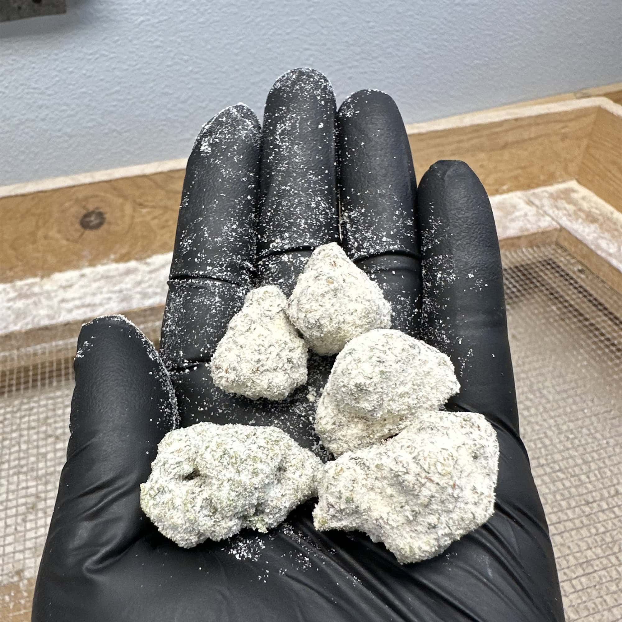 White Widow Snowcap THCA Wholesale