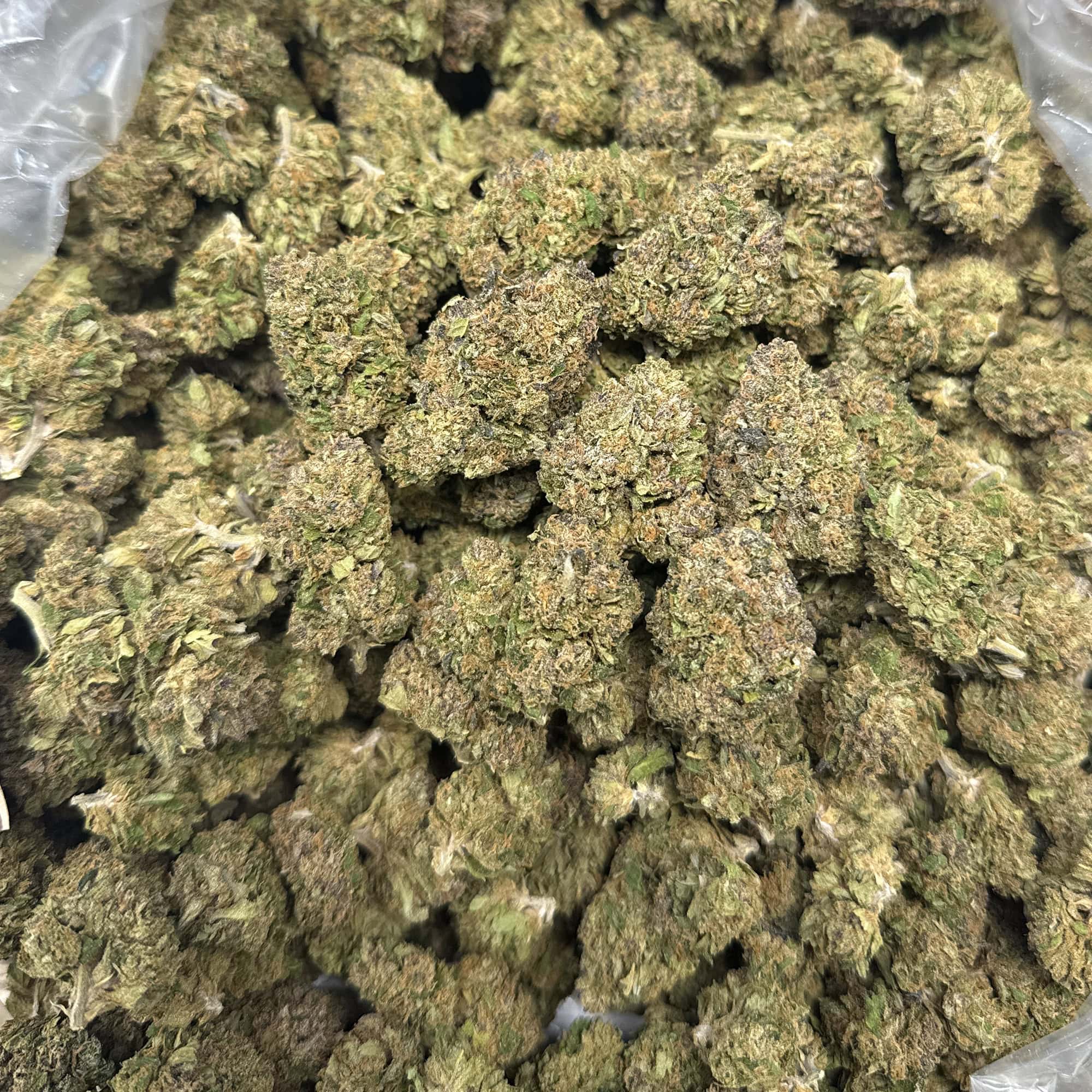 Jager THCA Flower Bulk Wholesale