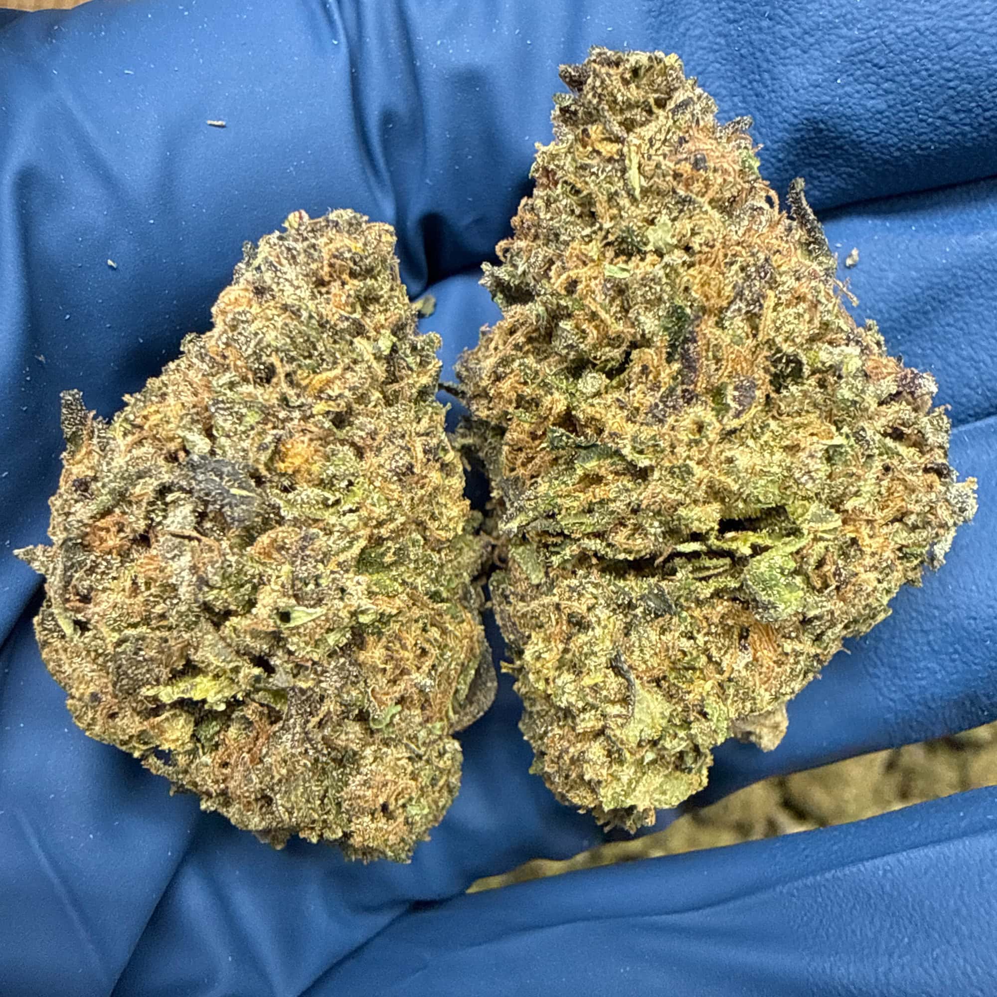 Bulk THCA Flower Jager