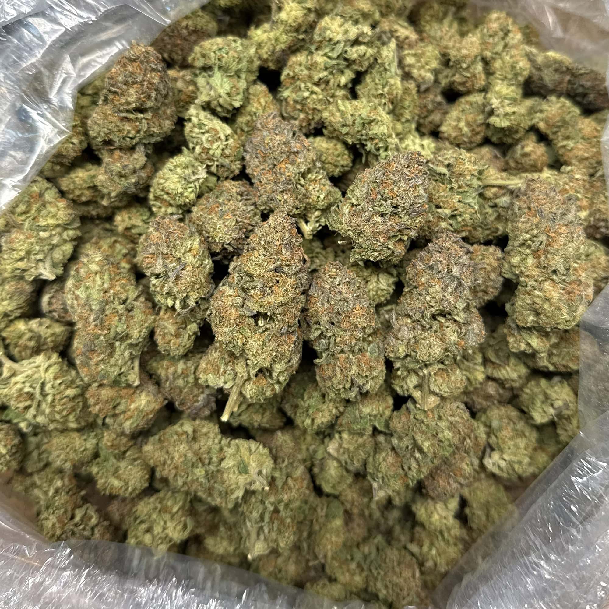 THCA Flower Quarter Pounds