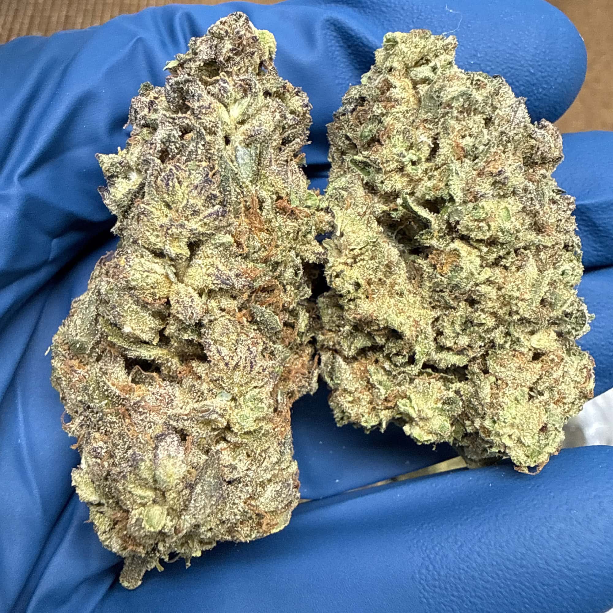 Papaya Punch THCA Flower for Sale