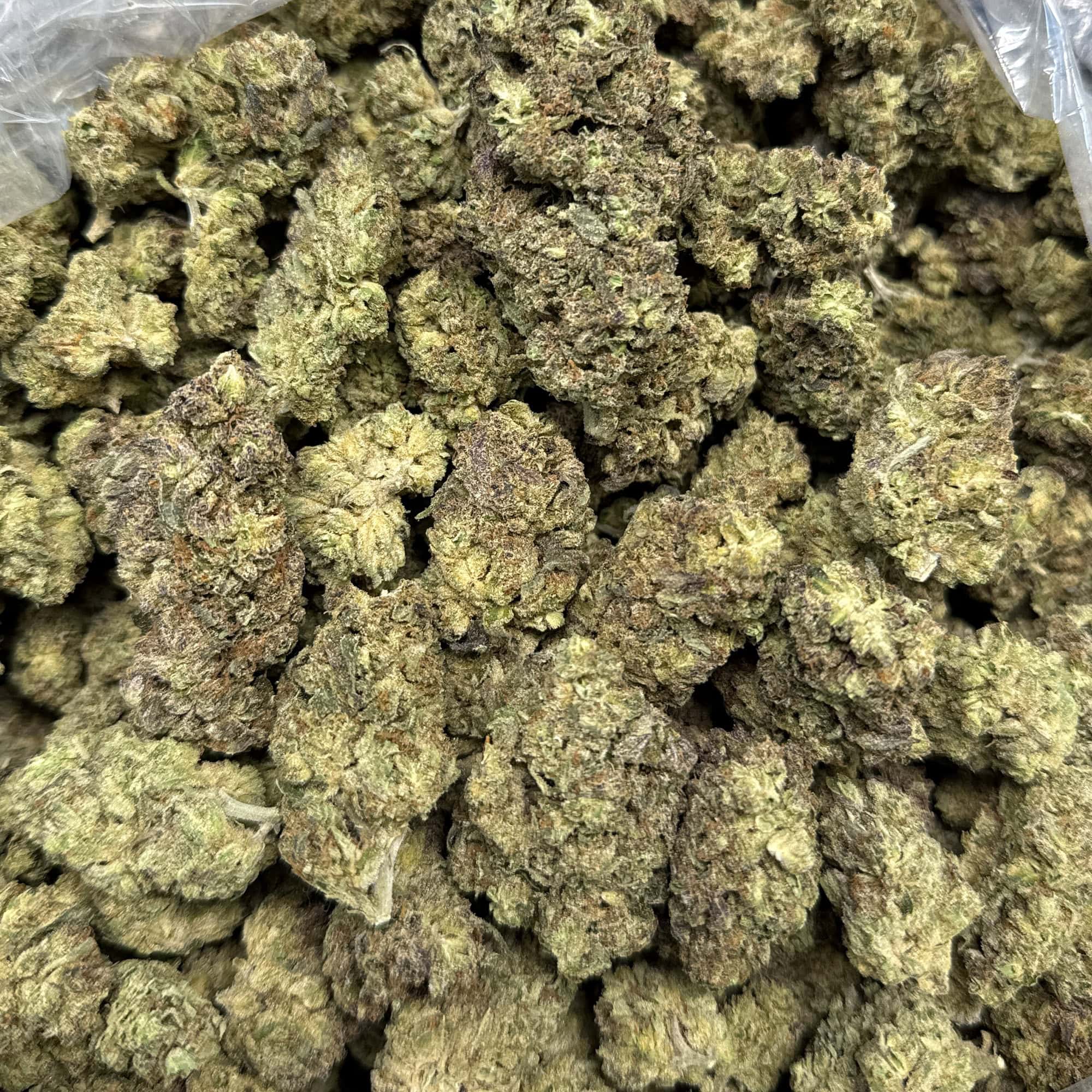Papaya Punch Cheap THCA Flower Wholesale