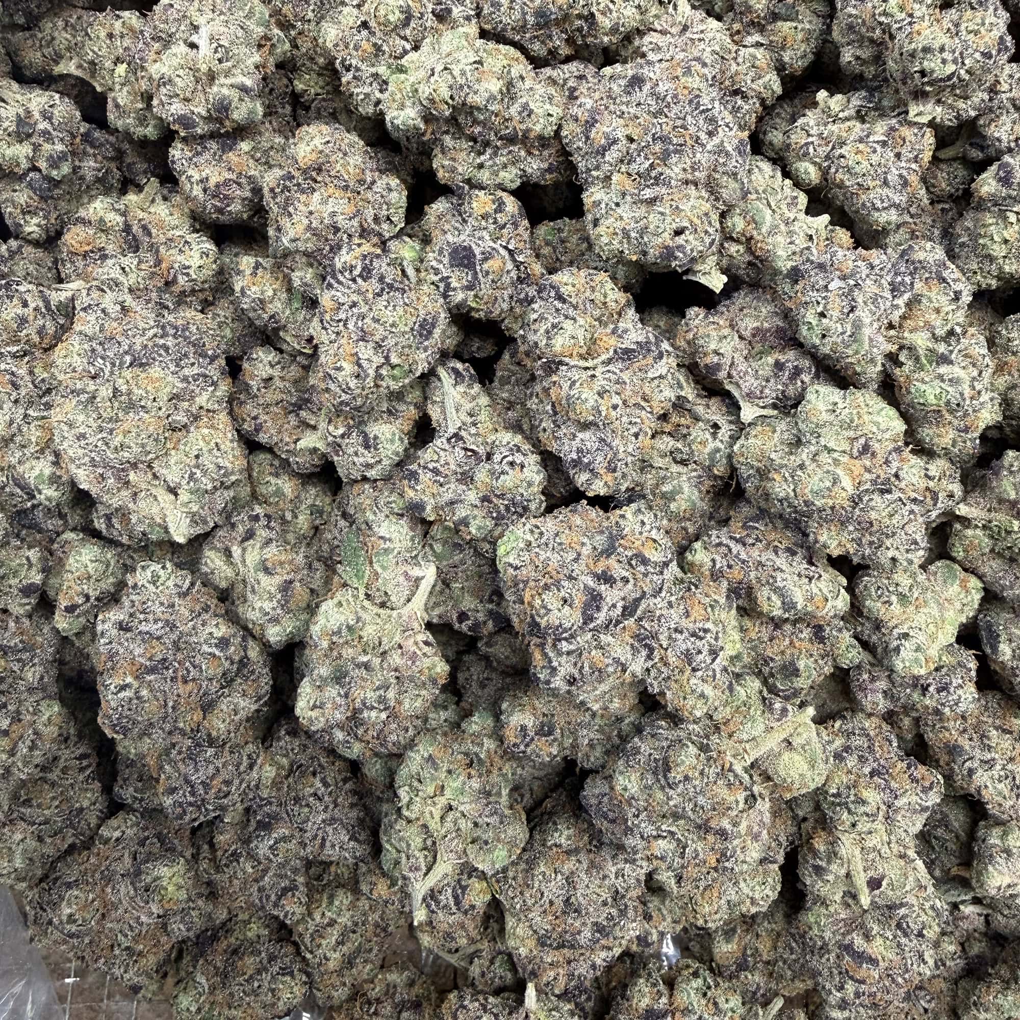 Churro Gelator THCA Flower Bulk