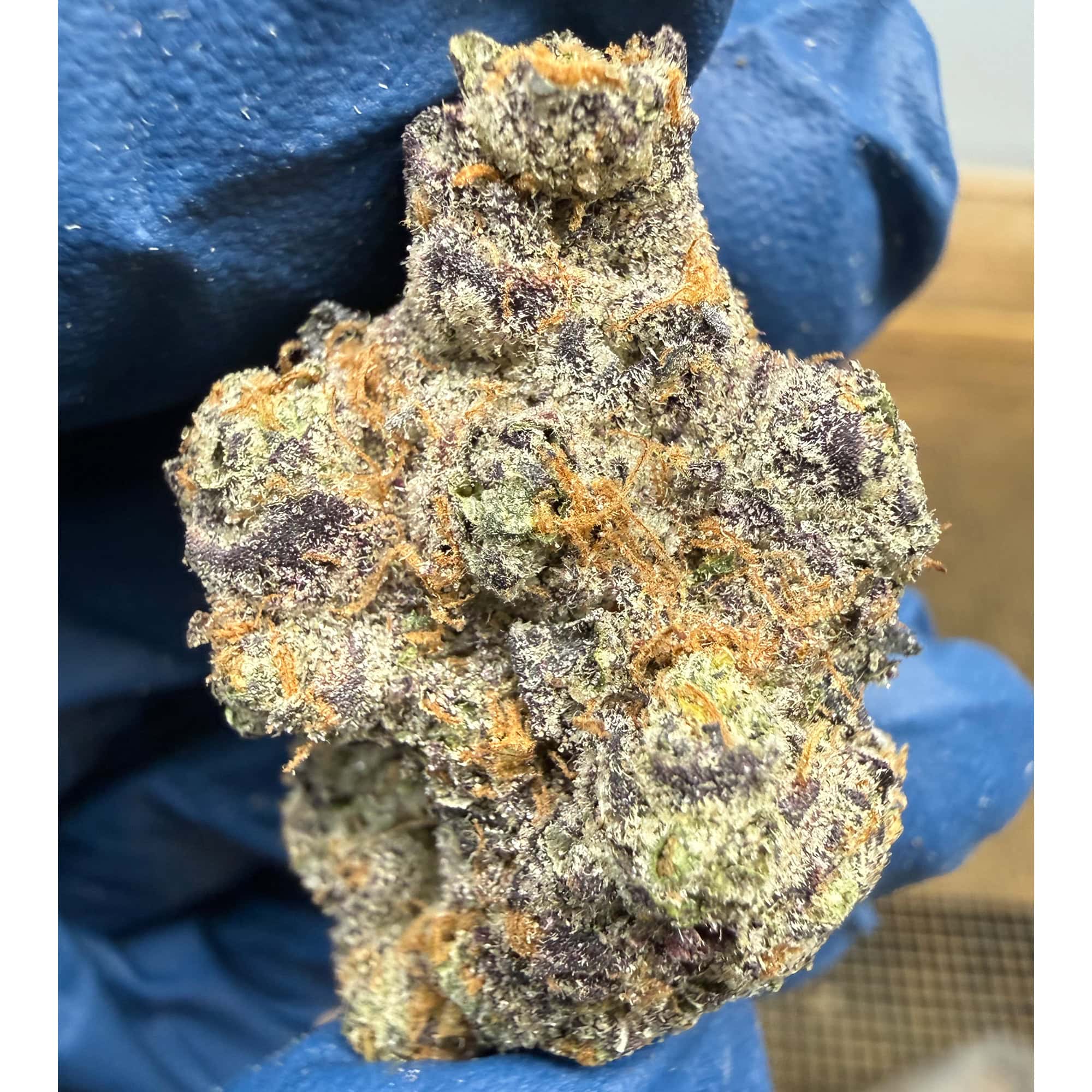Churro Gelato THCA Flower Pounds for Sale