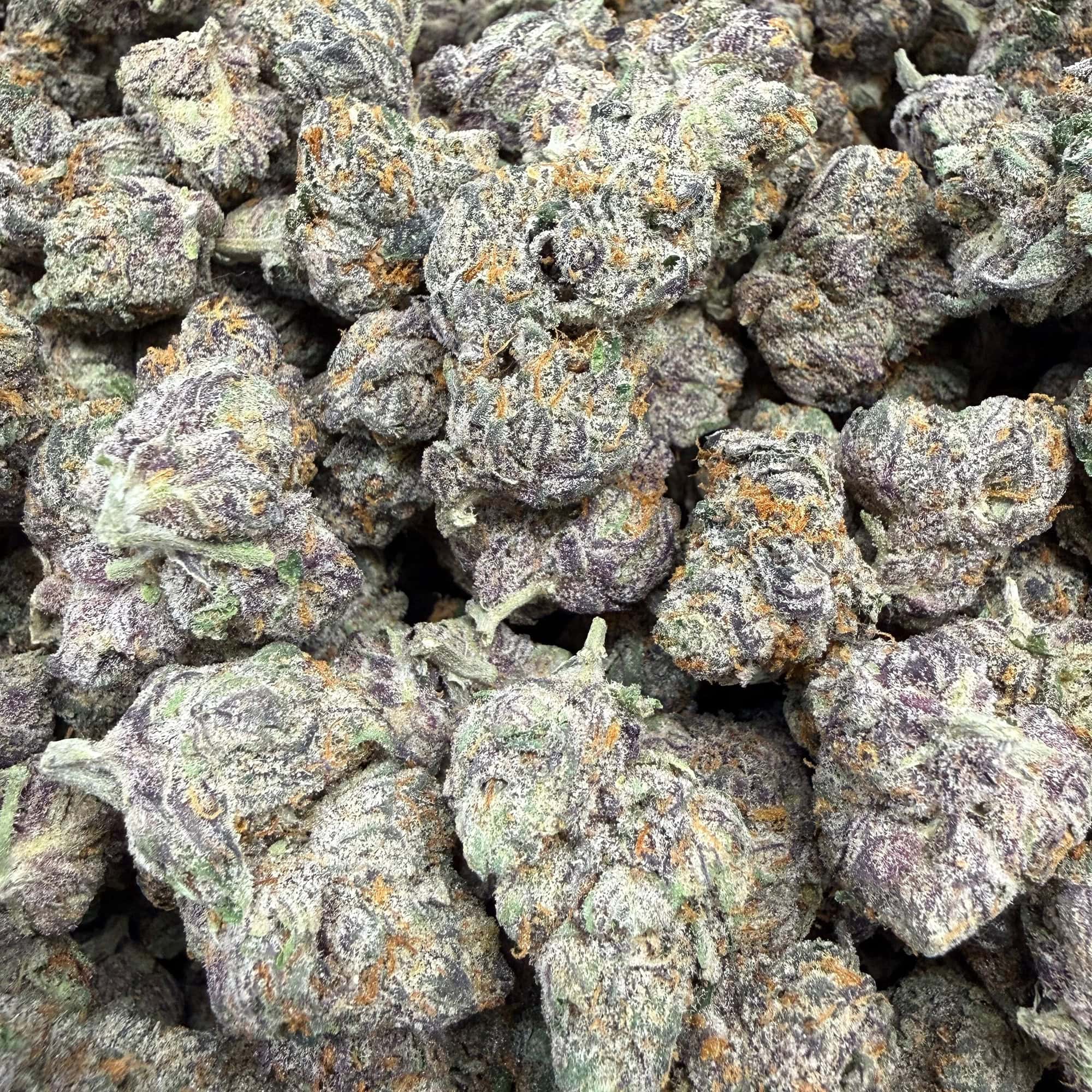 Gary Runtz Bulk THCA Flower for Sale