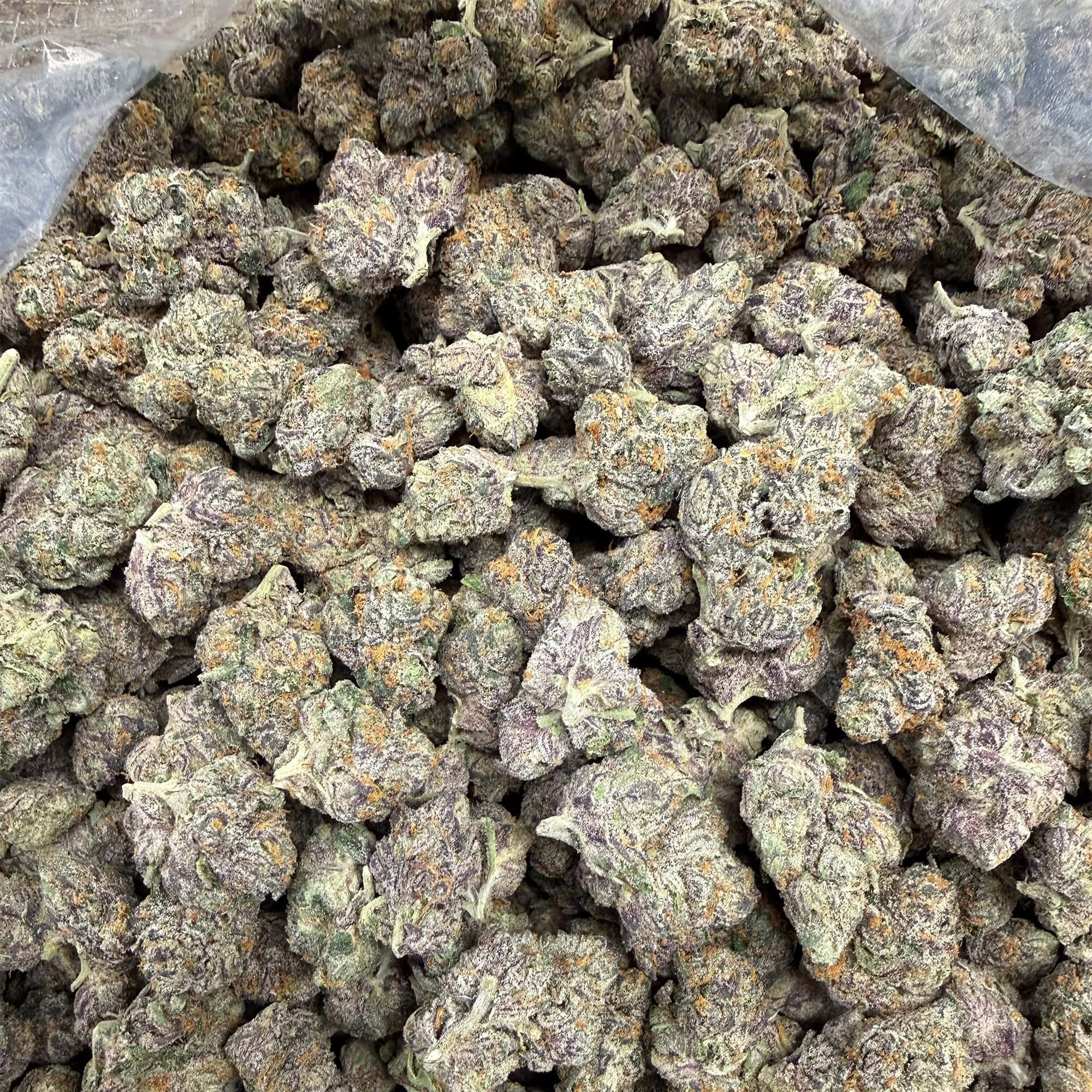 Gary Runtz THCA Flower Pounds for Sale