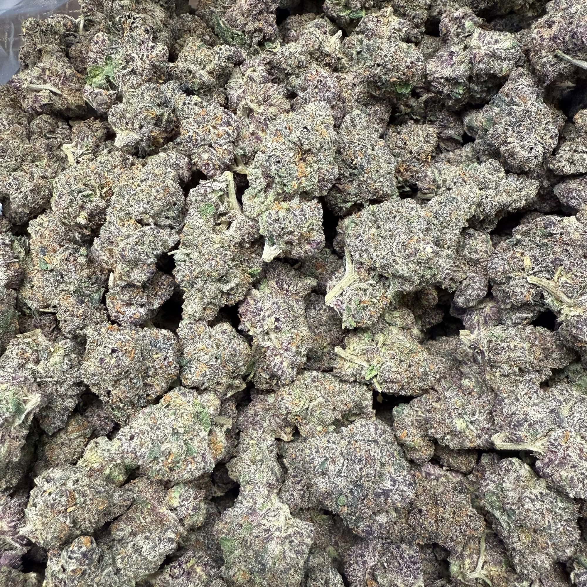 Purple Runtz Indoor THCA Flower Pounds