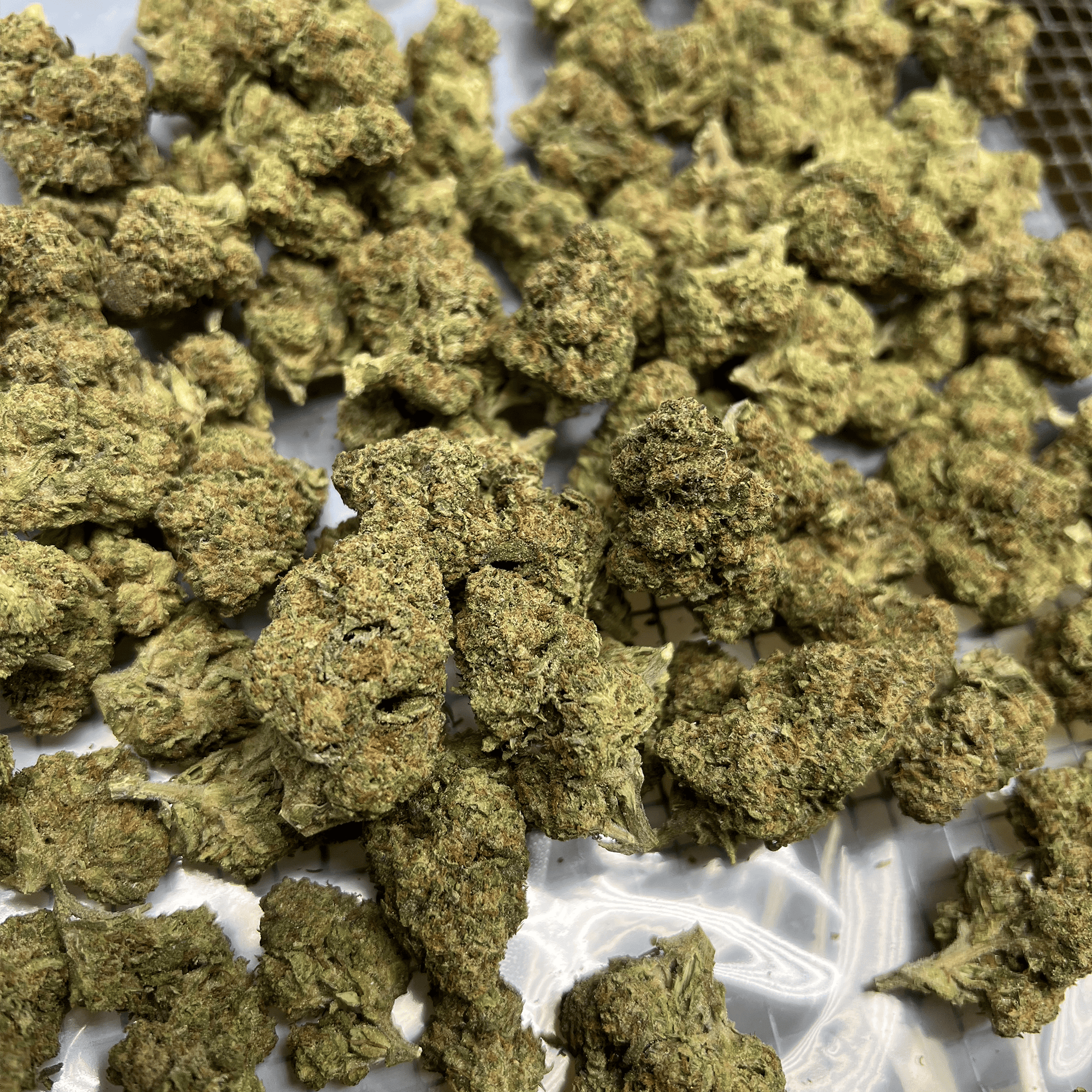 White Fire THCA Flower Bulk Pounds