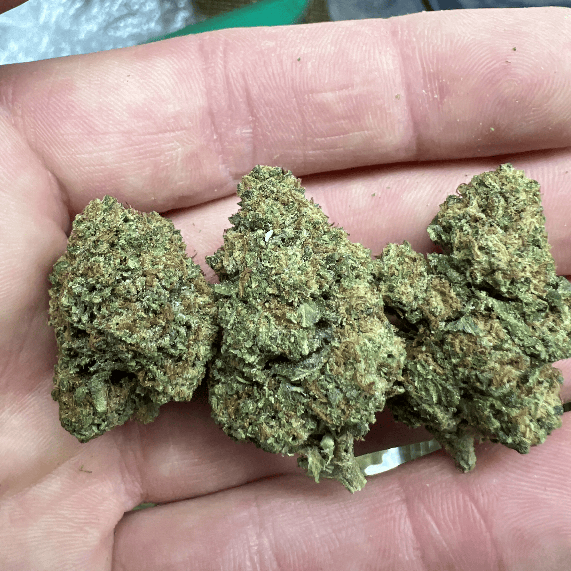 White Fire THCA Flower - Image 2