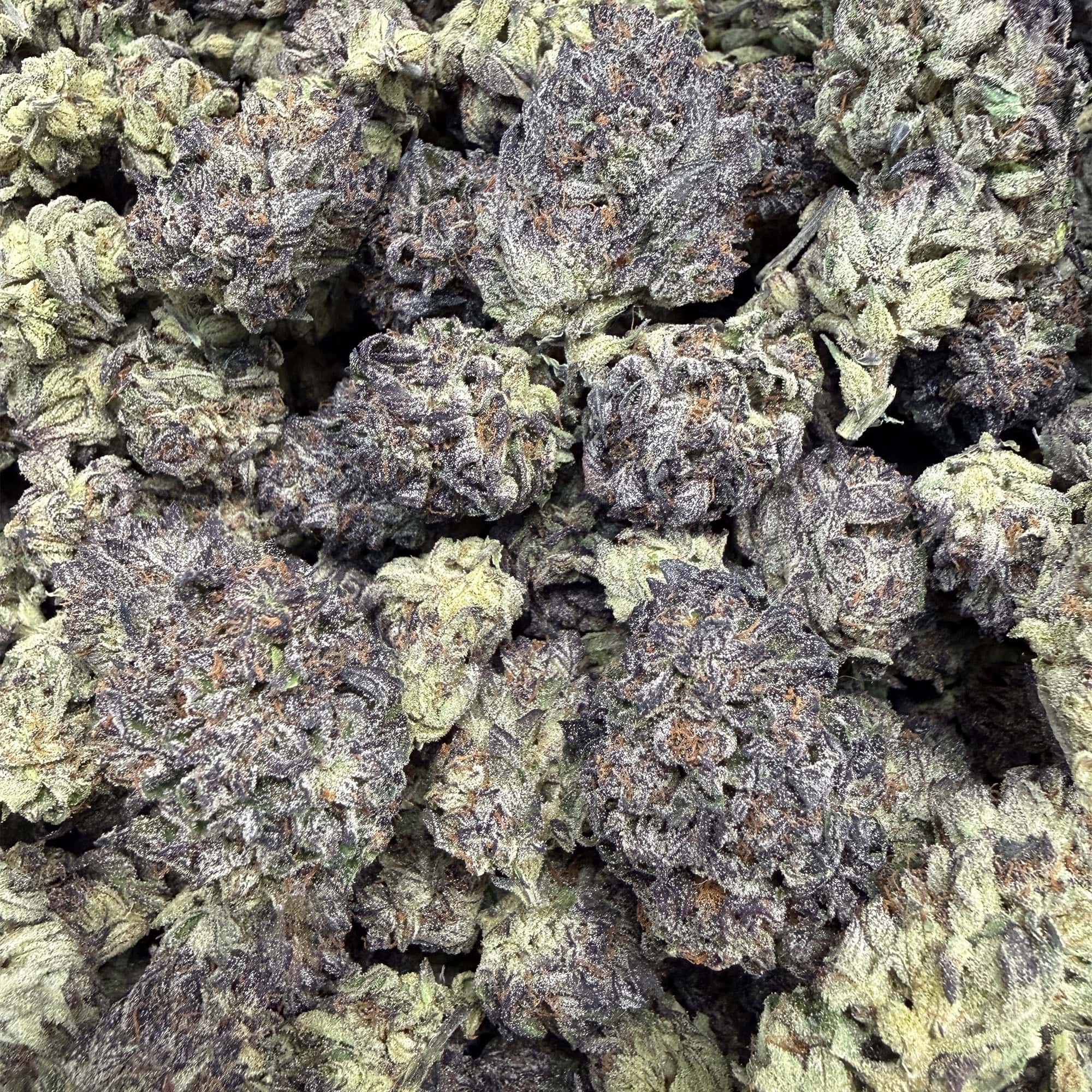Black Amber THCA Flower Bulk