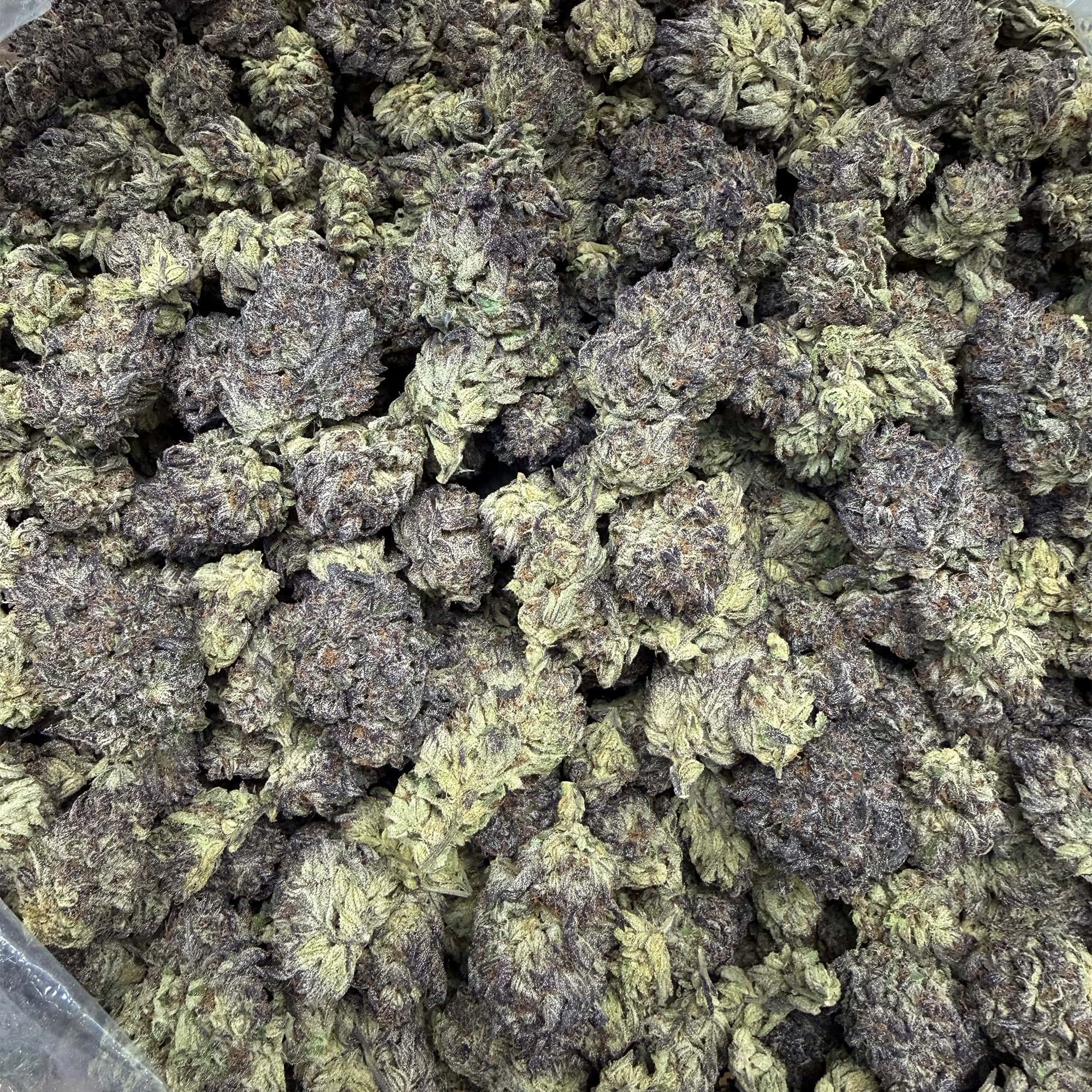 Black Amber Bulk THCA Flower Cheap