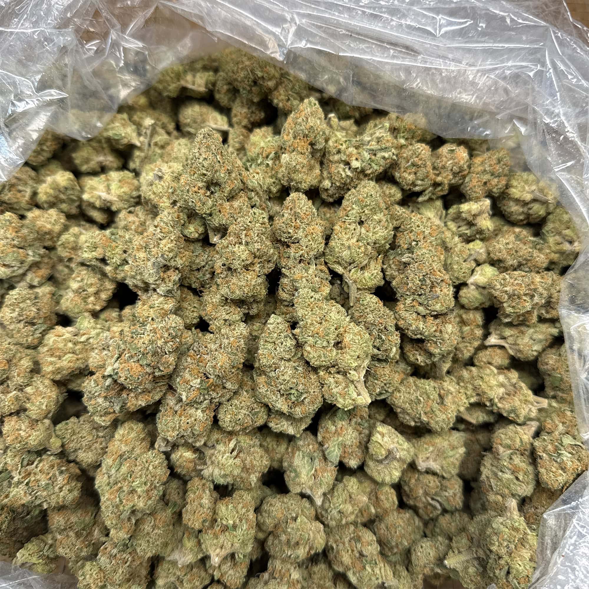 Gorilla Glue THCA Flower Quarter Pounds