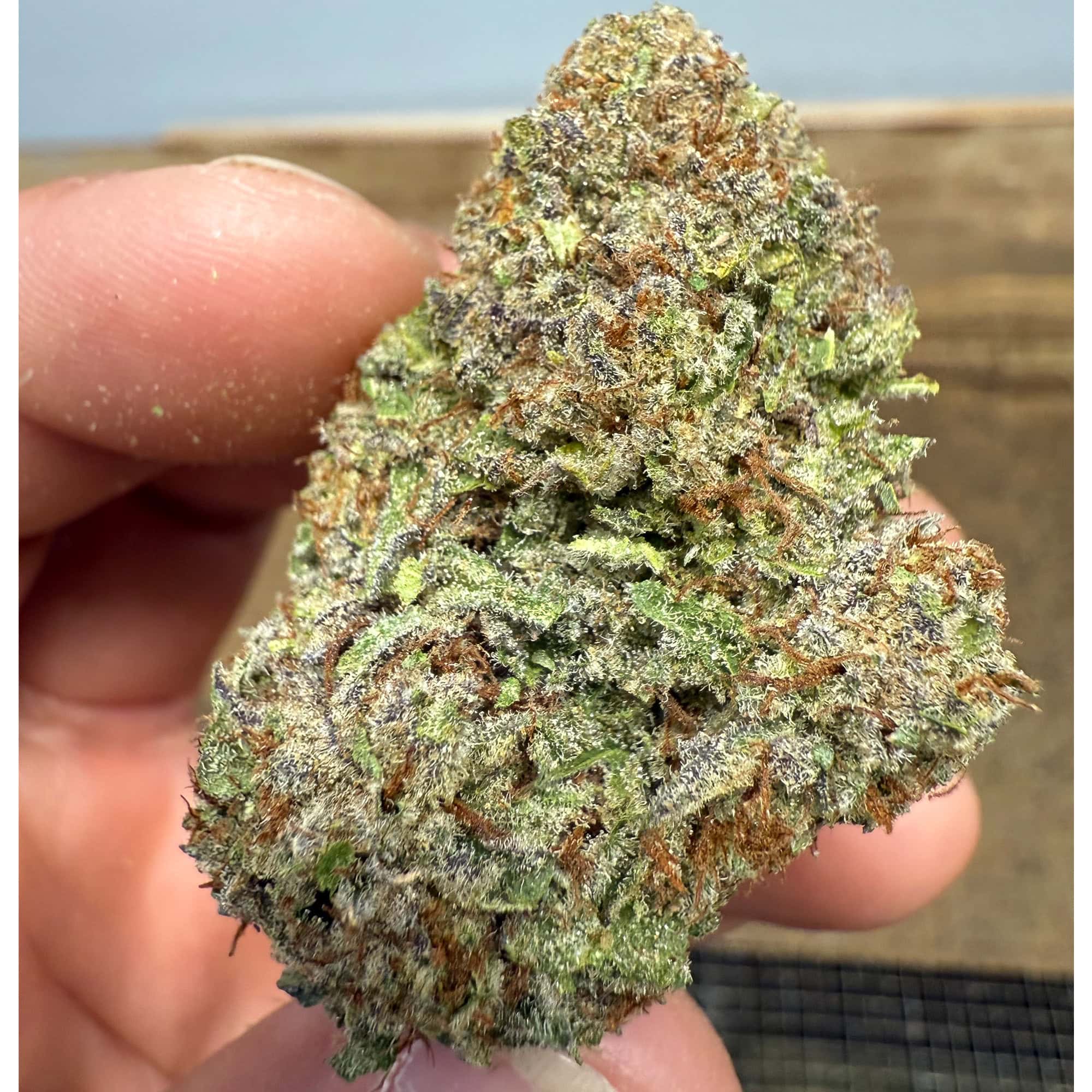 Obama Runtz THCA Flower Cheap