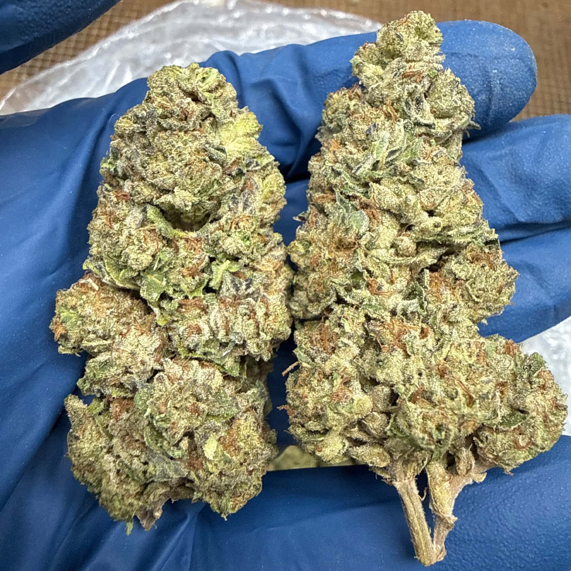 Wedding Cake Light Assist THCA Flower