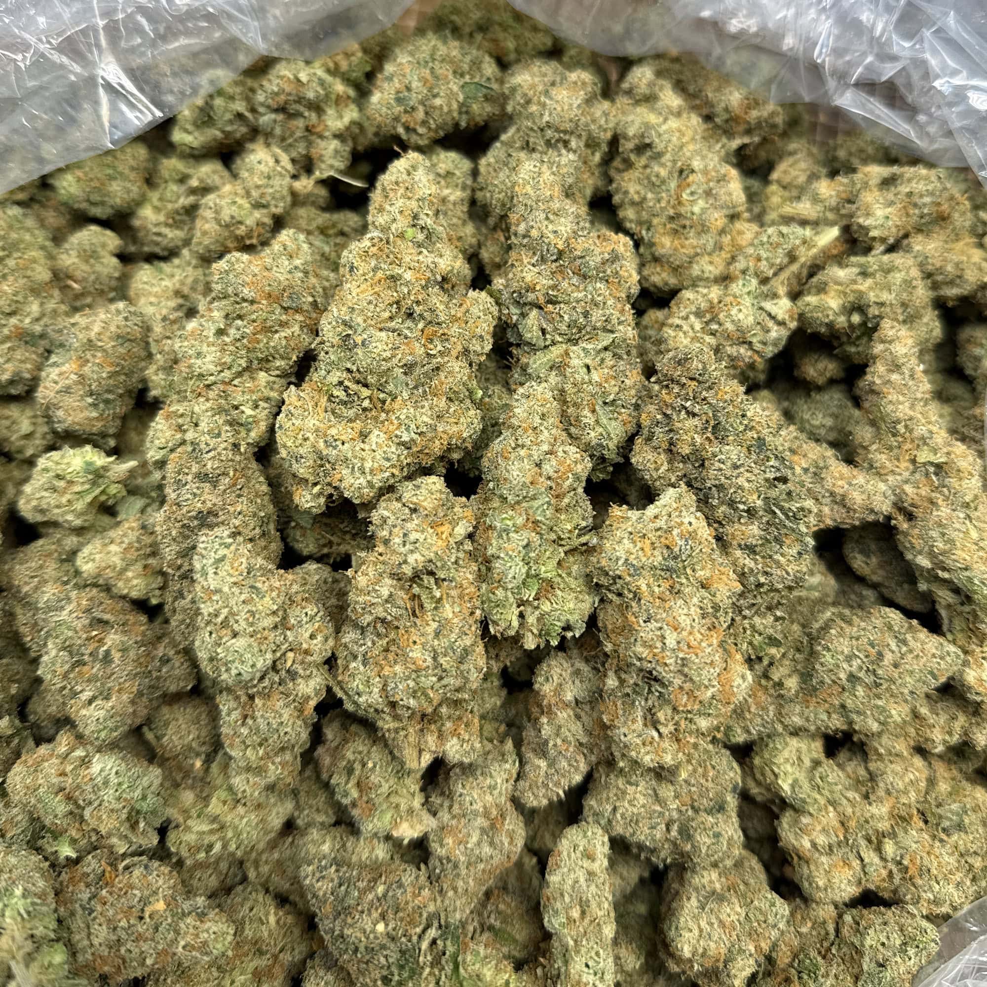 Super Silver Haze Bulk THCA Flower